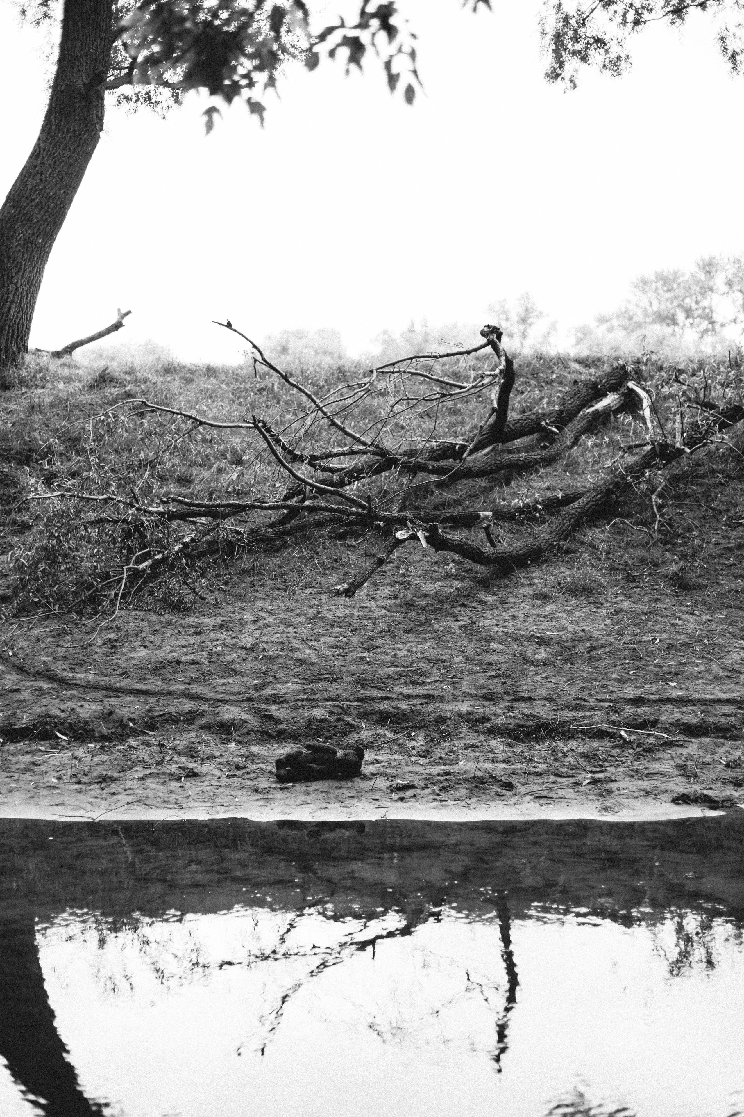 Я за тобой. Свадебный, семейный фотограф в Рязани Лена Брант