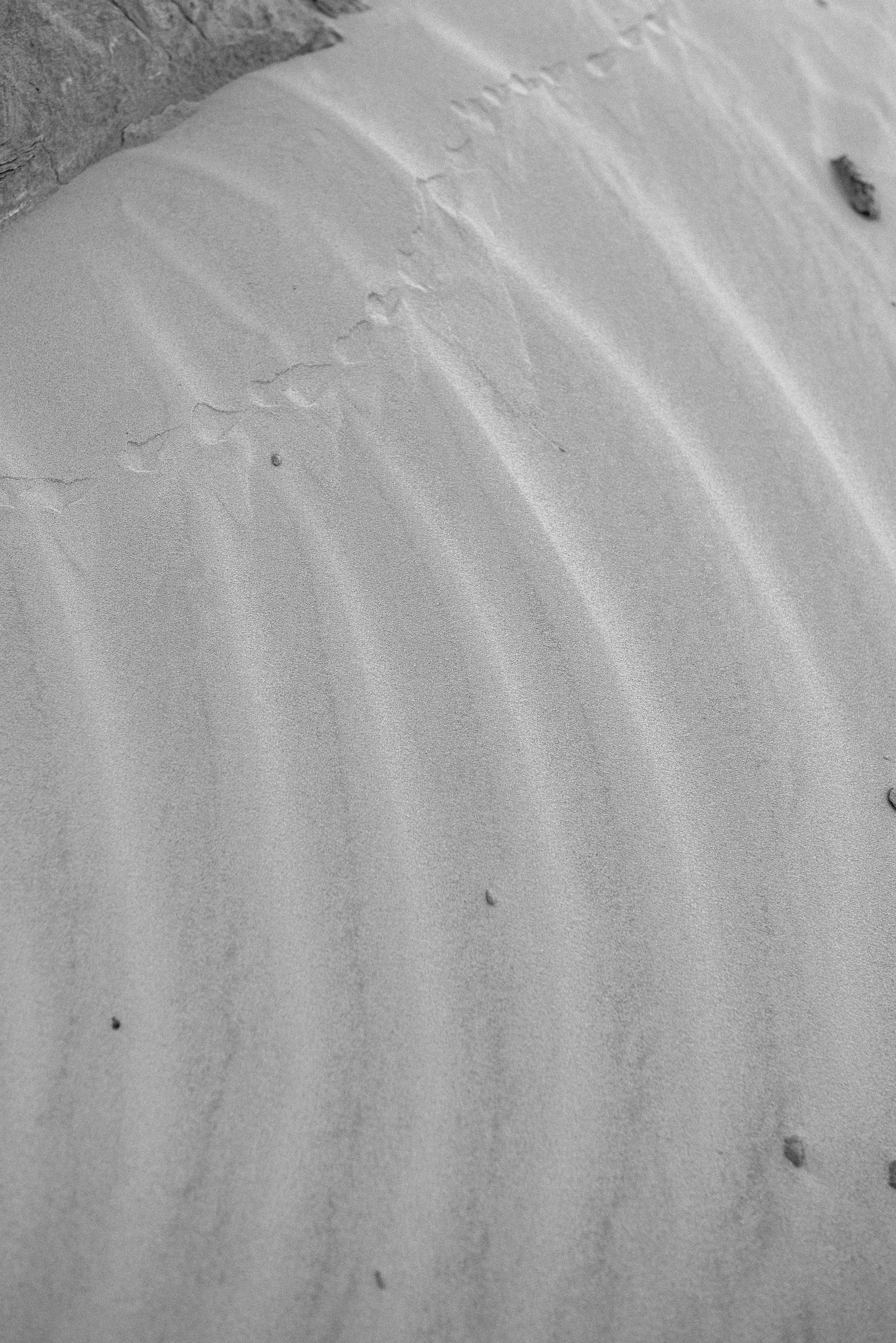 B&W. Свадебный, семейный фотограф в Рязани Лена Брант