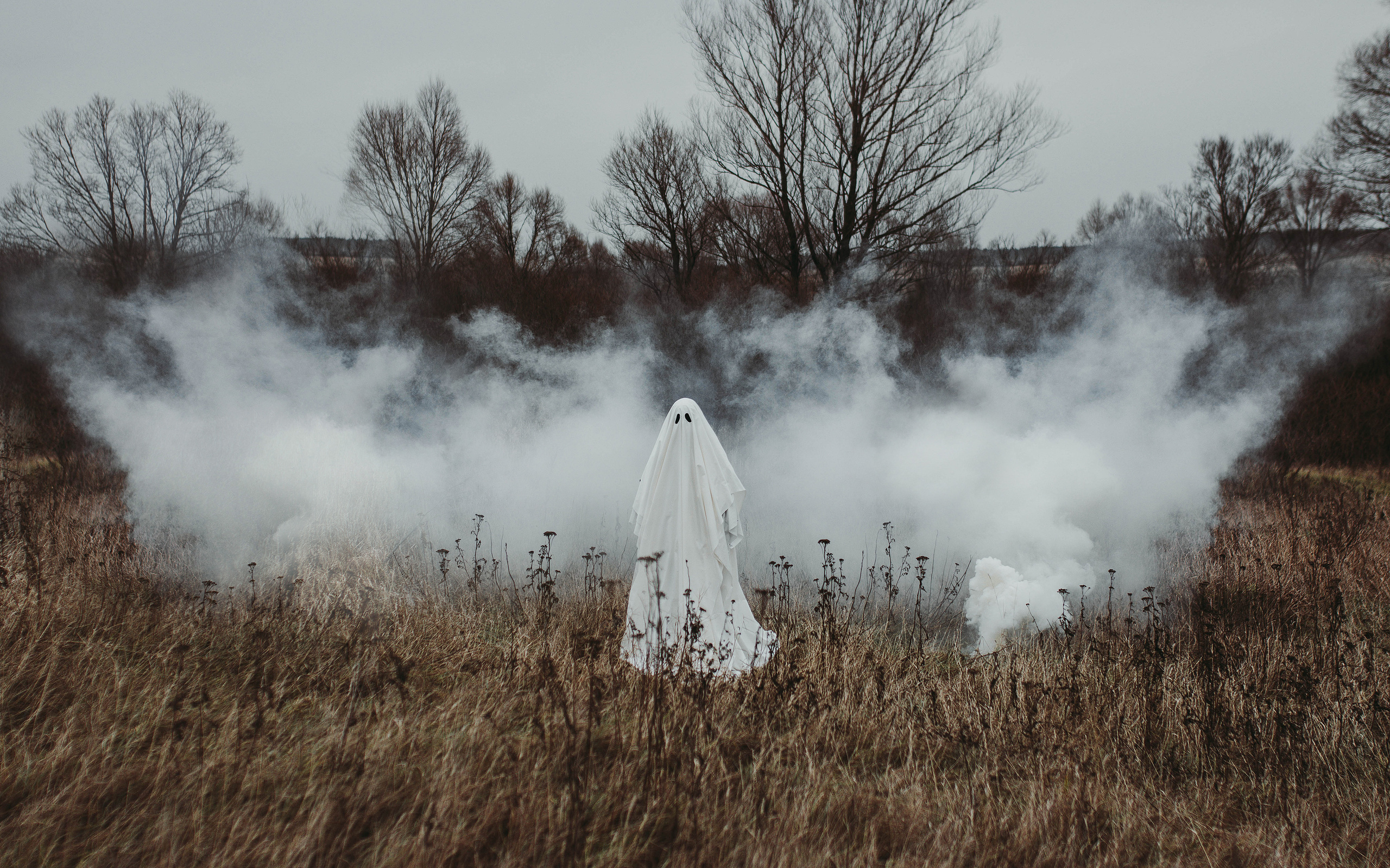 Ghoost. Свадебный, семейный фотограф в Рязани Лена Брант
