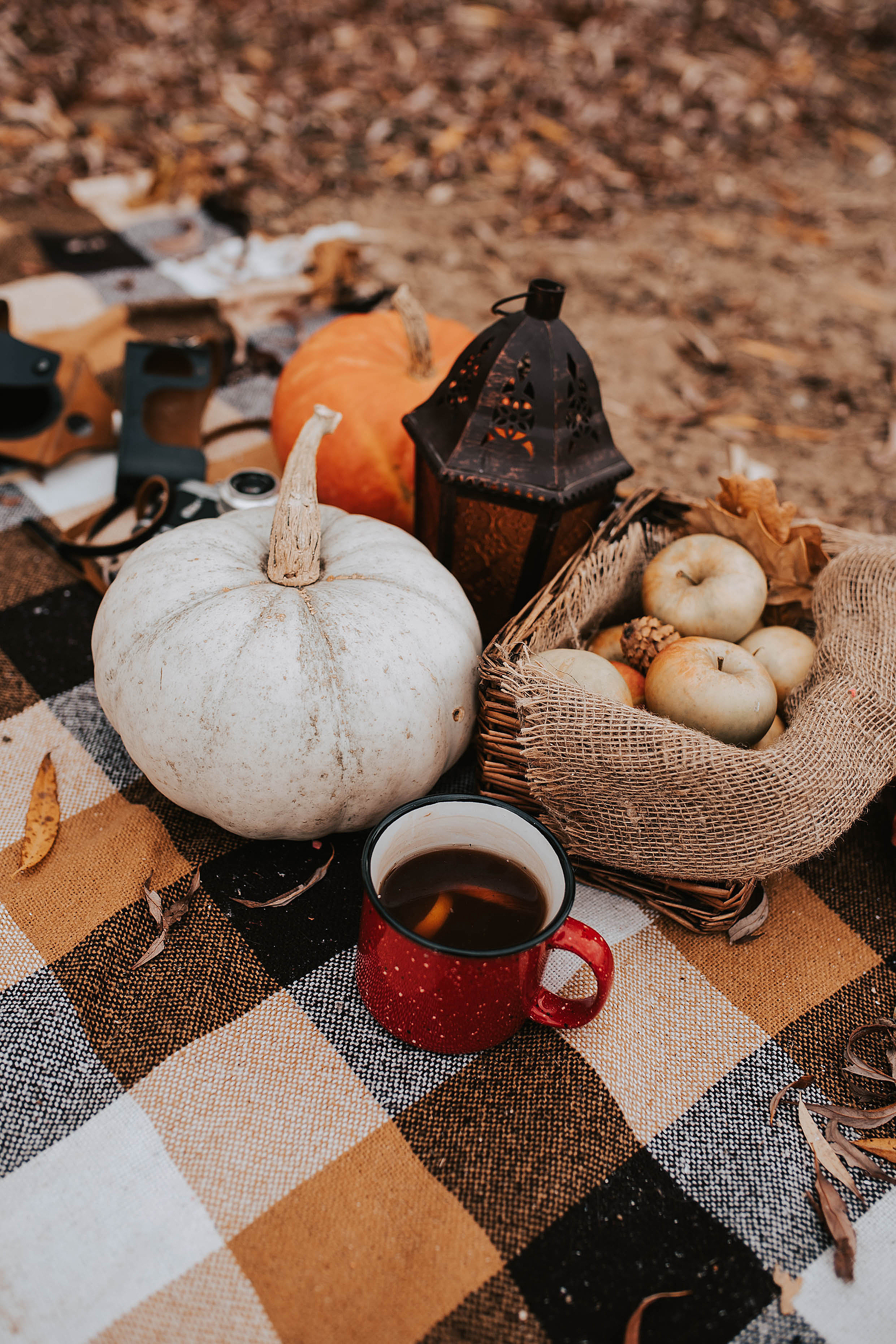 Осенний фотодень. Свадебный, семейный фотограф в Рязани Лена Брант