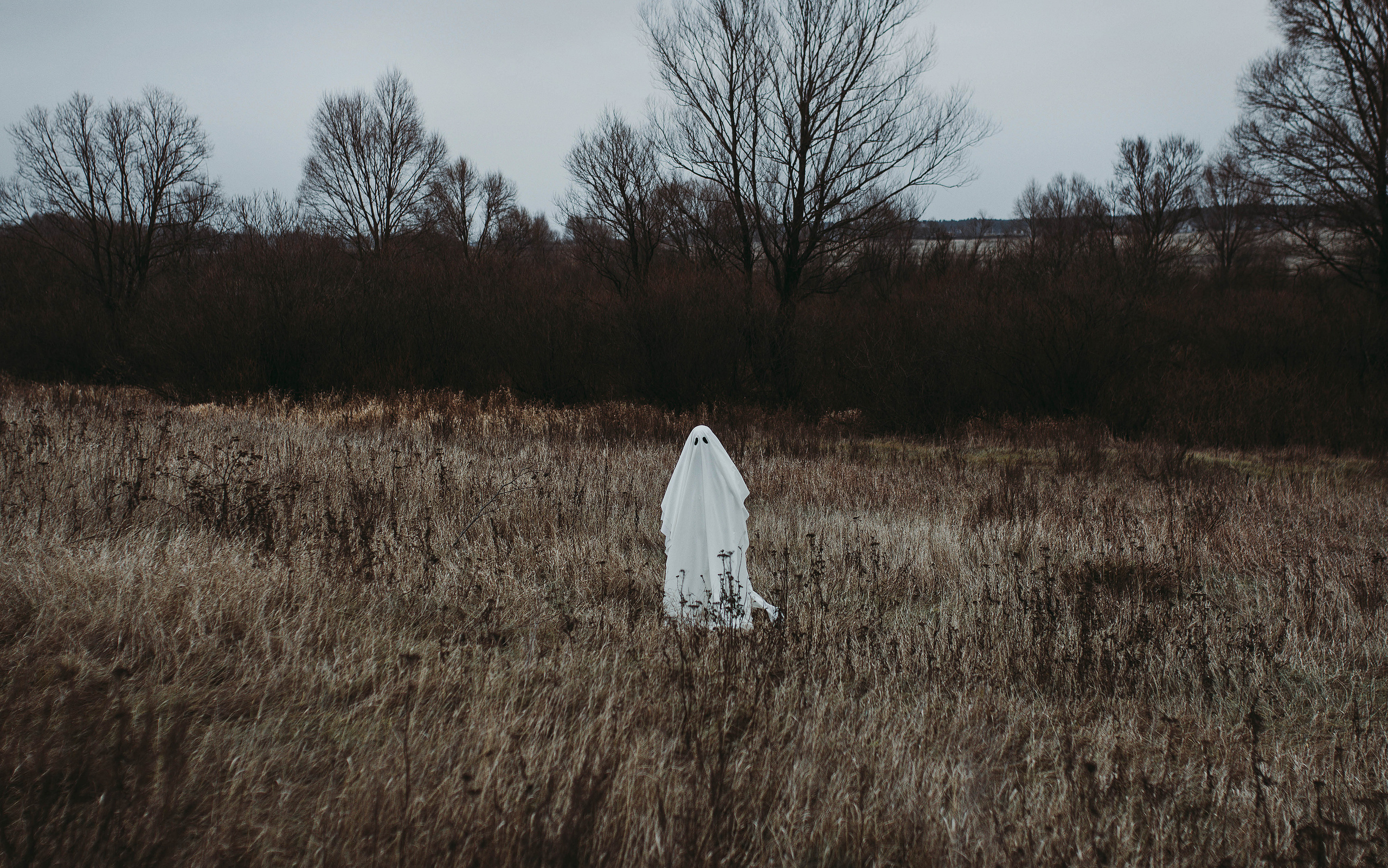 Ghoost. Свадебный, семейный фотограф в Рязани Лена Брант