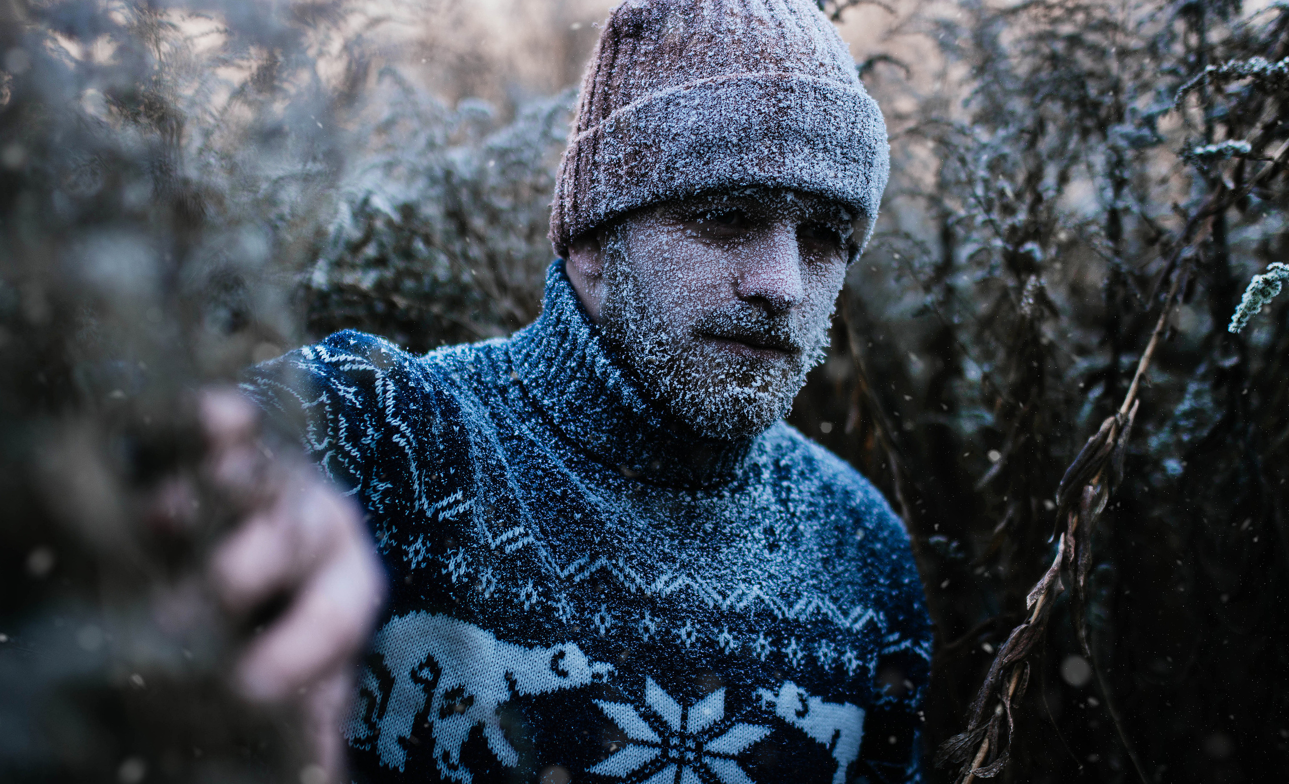 Серии съемок с инеем. Свадебный, семейный фотограф в Рязани Лена Брант