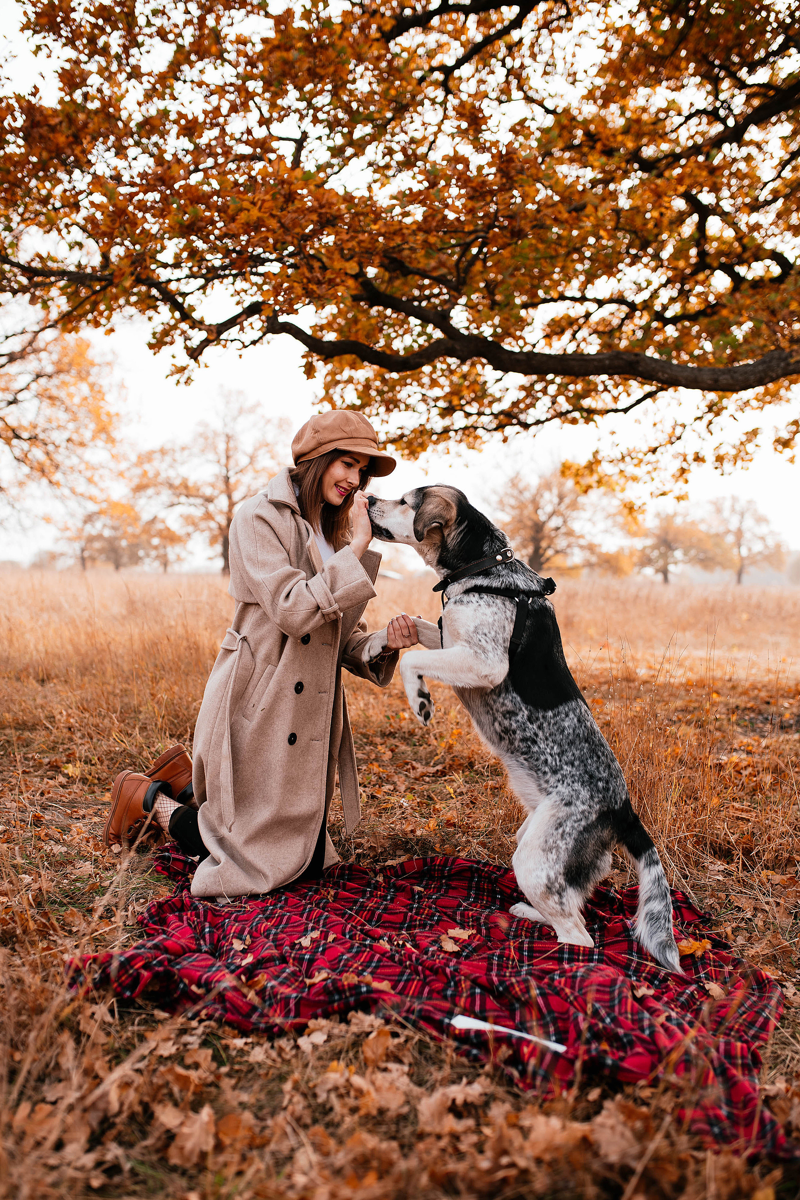 Ирина и Грейси. Свадебный, семейный фотограф в Рязани Лена Брант