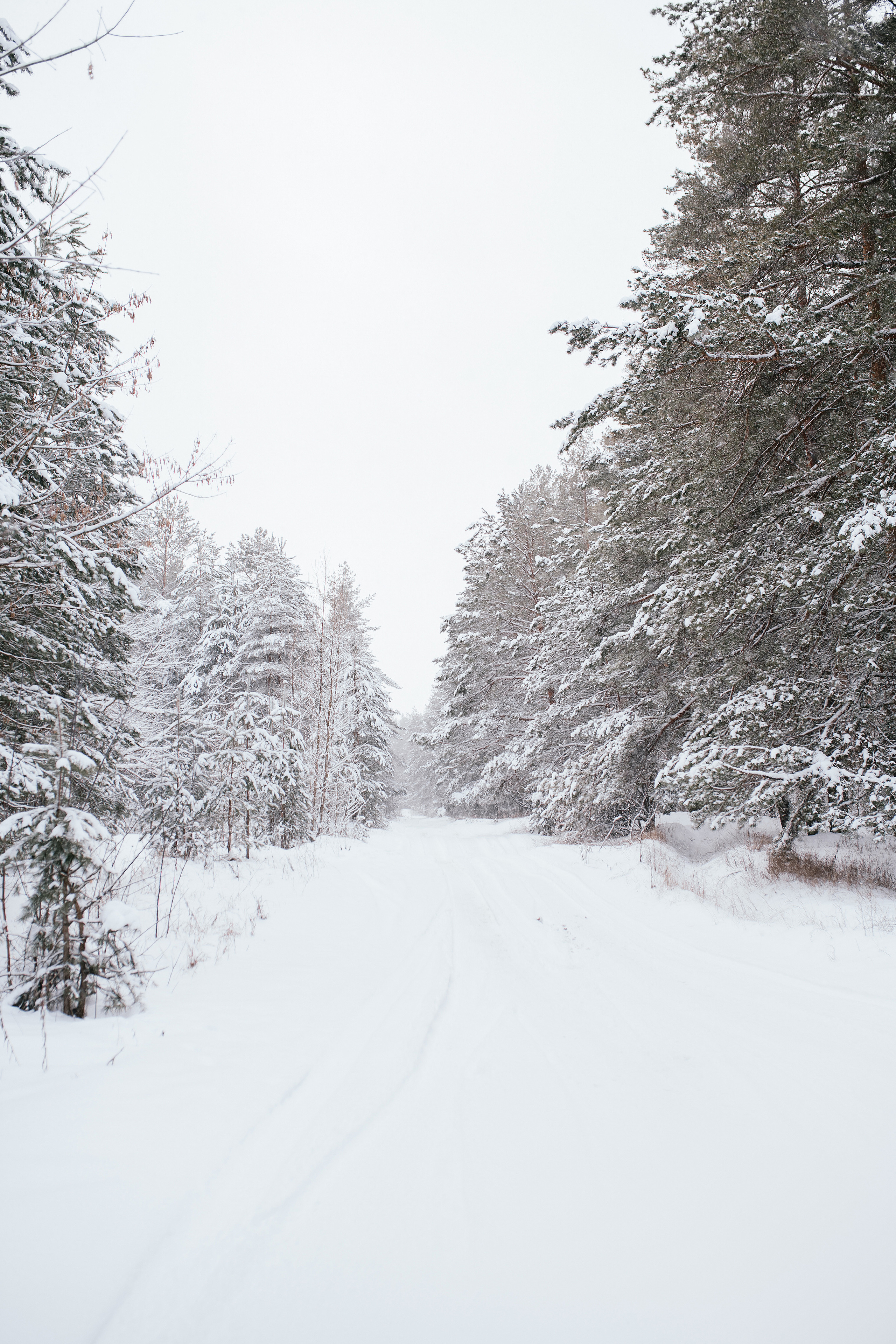 Солотча. Свадебный, семейный фотограф в Рязани Лена Брант