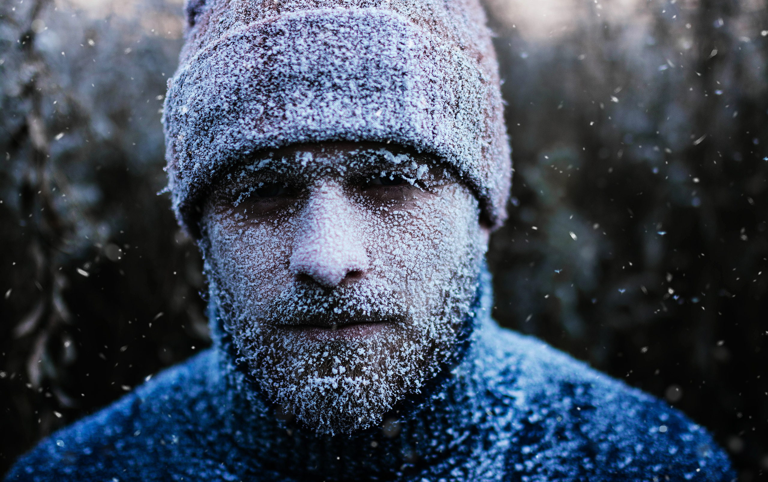 Серии съемок с инеем. Свадебный, семейный фотограф в Рязани Лена Брант