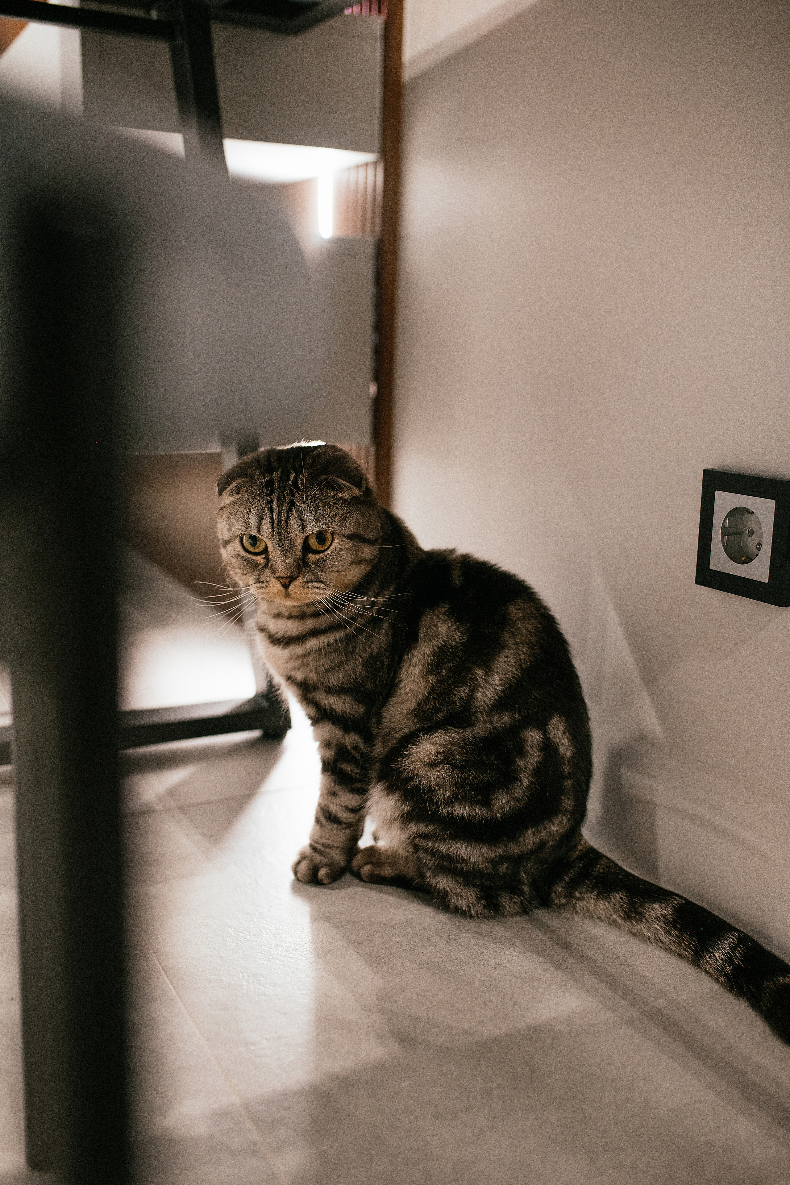 Sweet home. Свадебный, семейный фотограф в Рязани Лена Брант