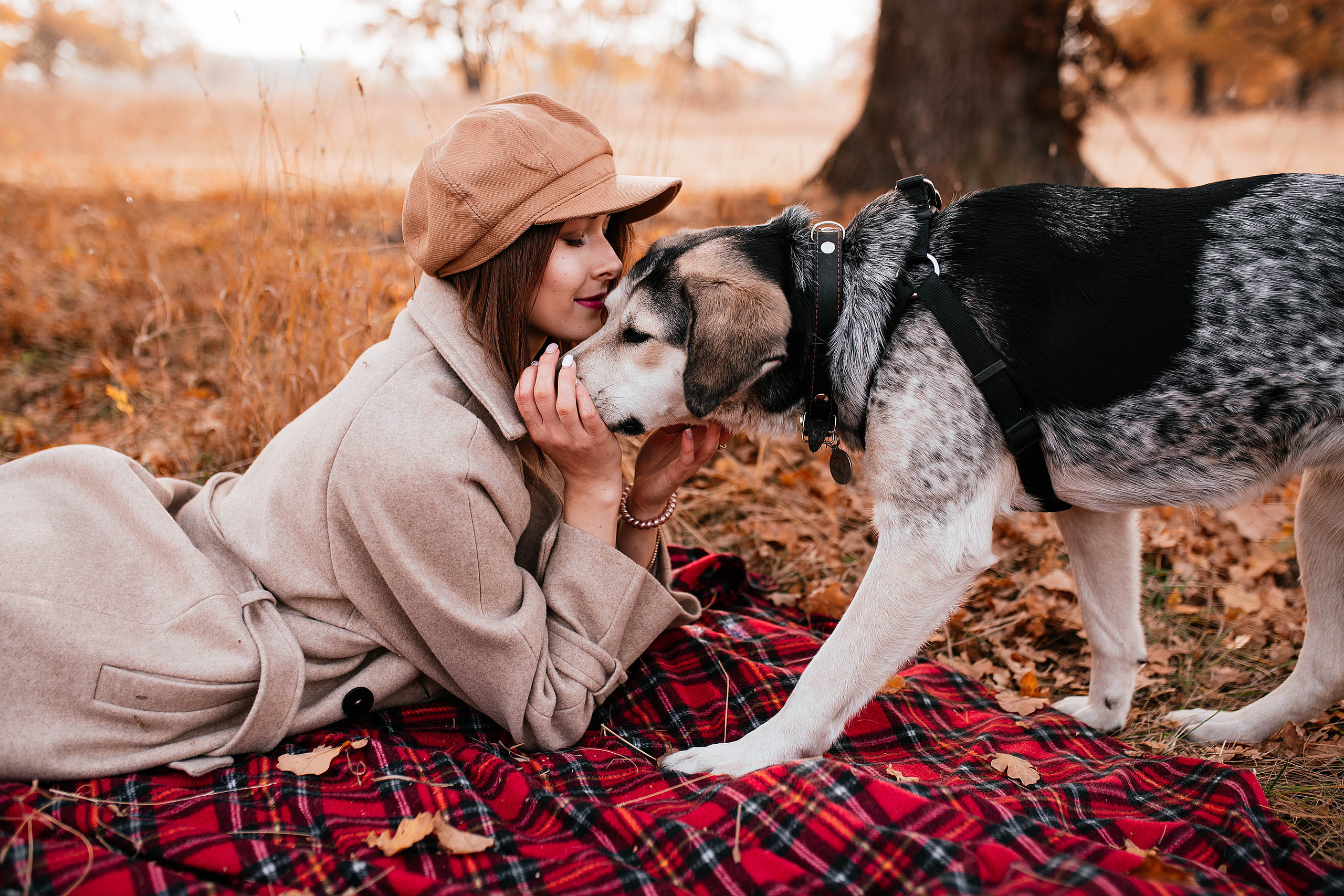 Ирина и Грейси. Свадебный, семейный фотограф в Рязани Лена Брант