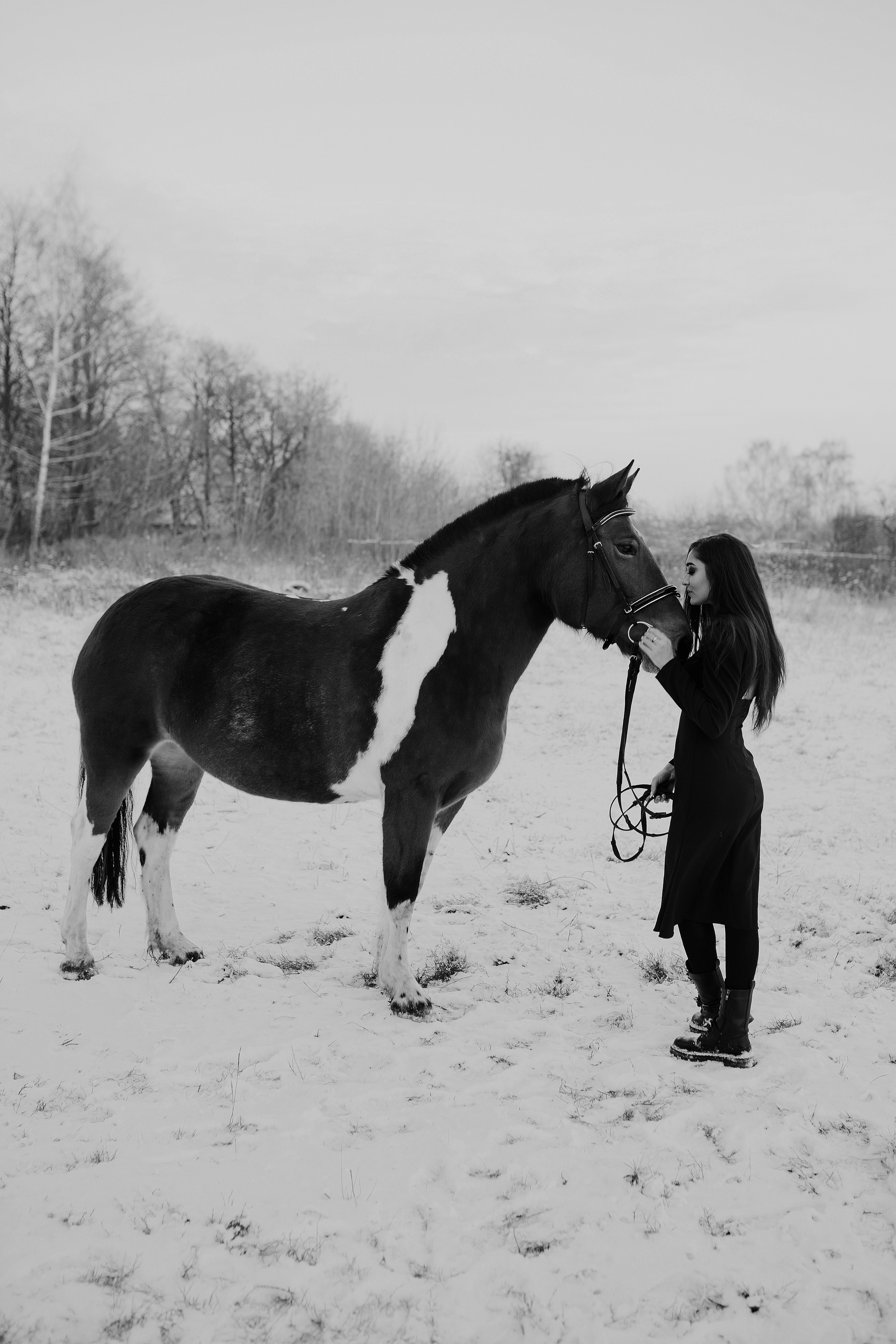 Съемки с лошадьми. Свадебный, семейный фотограф в Рязани Лена Брант