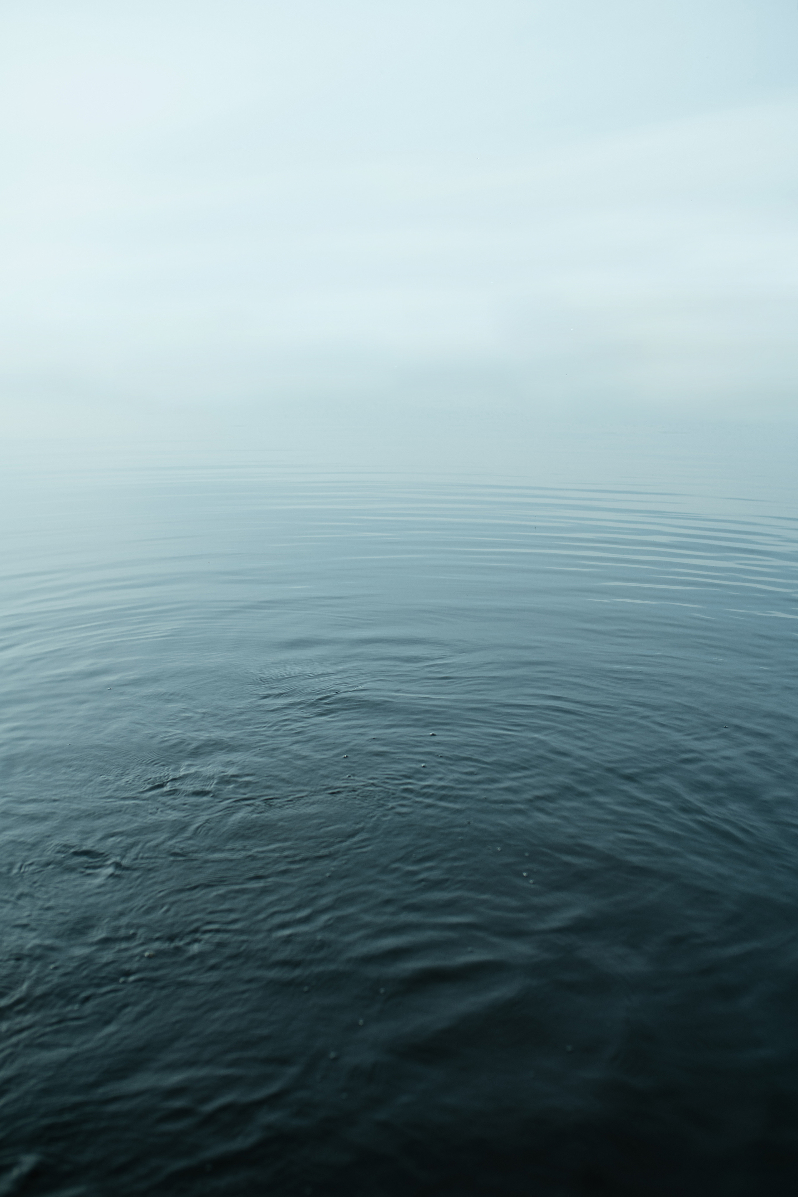 Необычный формат семейной фотосессии. Свадебный, семейный фотограф в Рязани Лена Брант