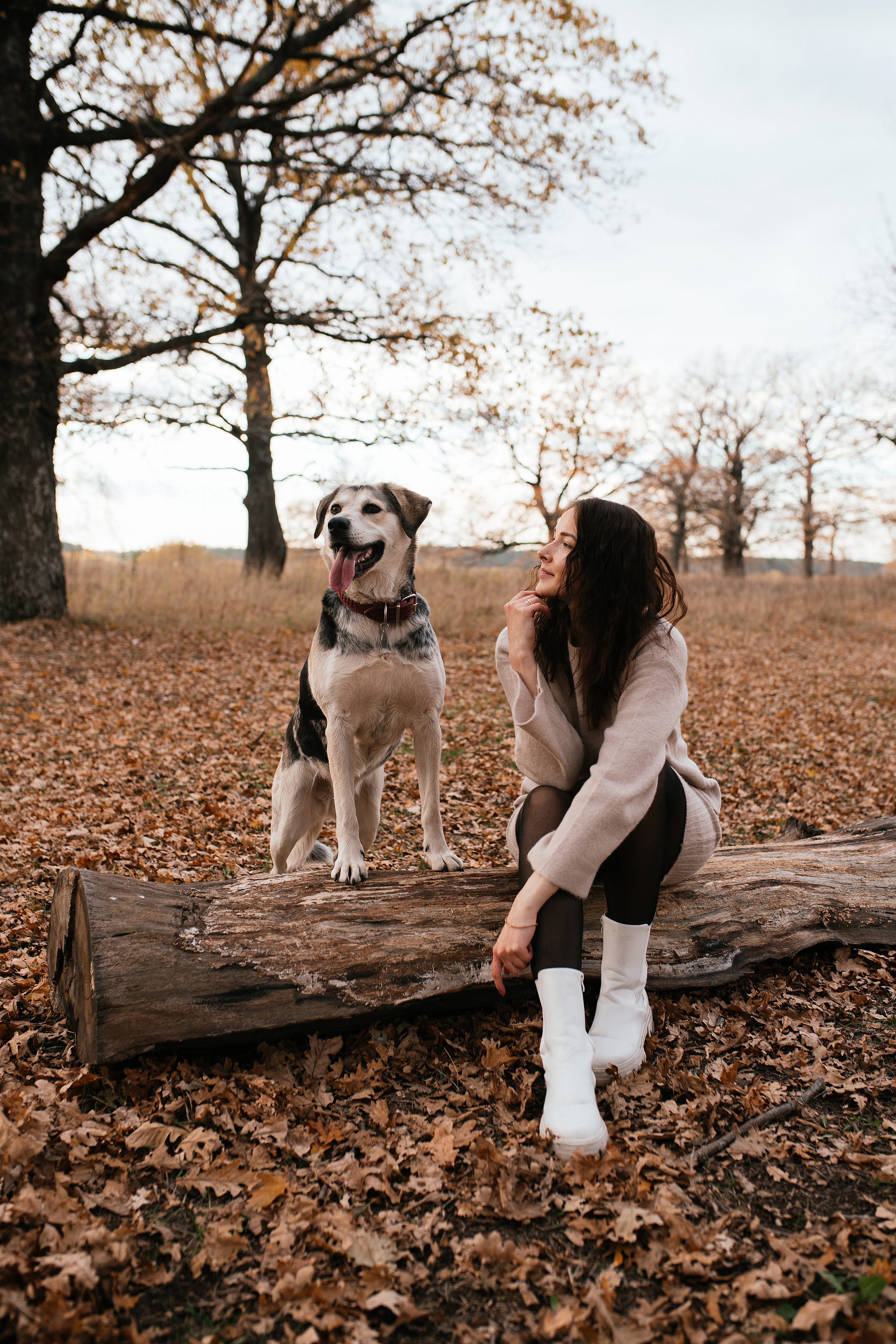 Ирина и Грейси. Свадебный, семейный фотограф в Рязани Лена Брант
