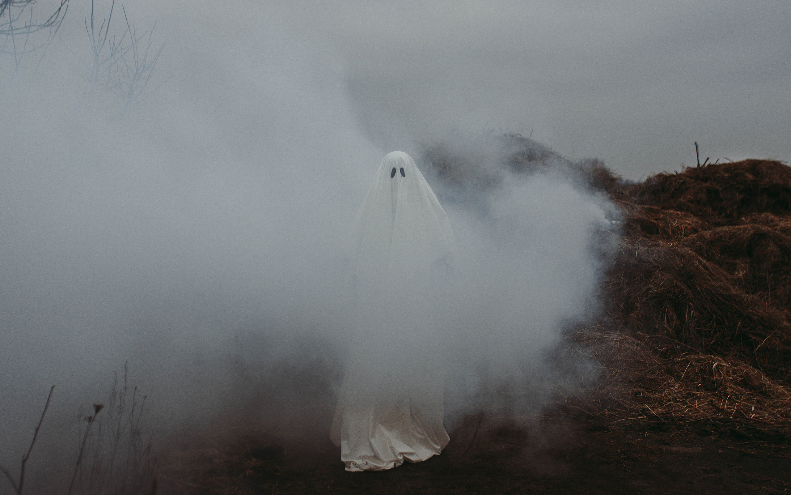 Ghoost. Свадебный, семейный фотограф в Рязани Лена Брант