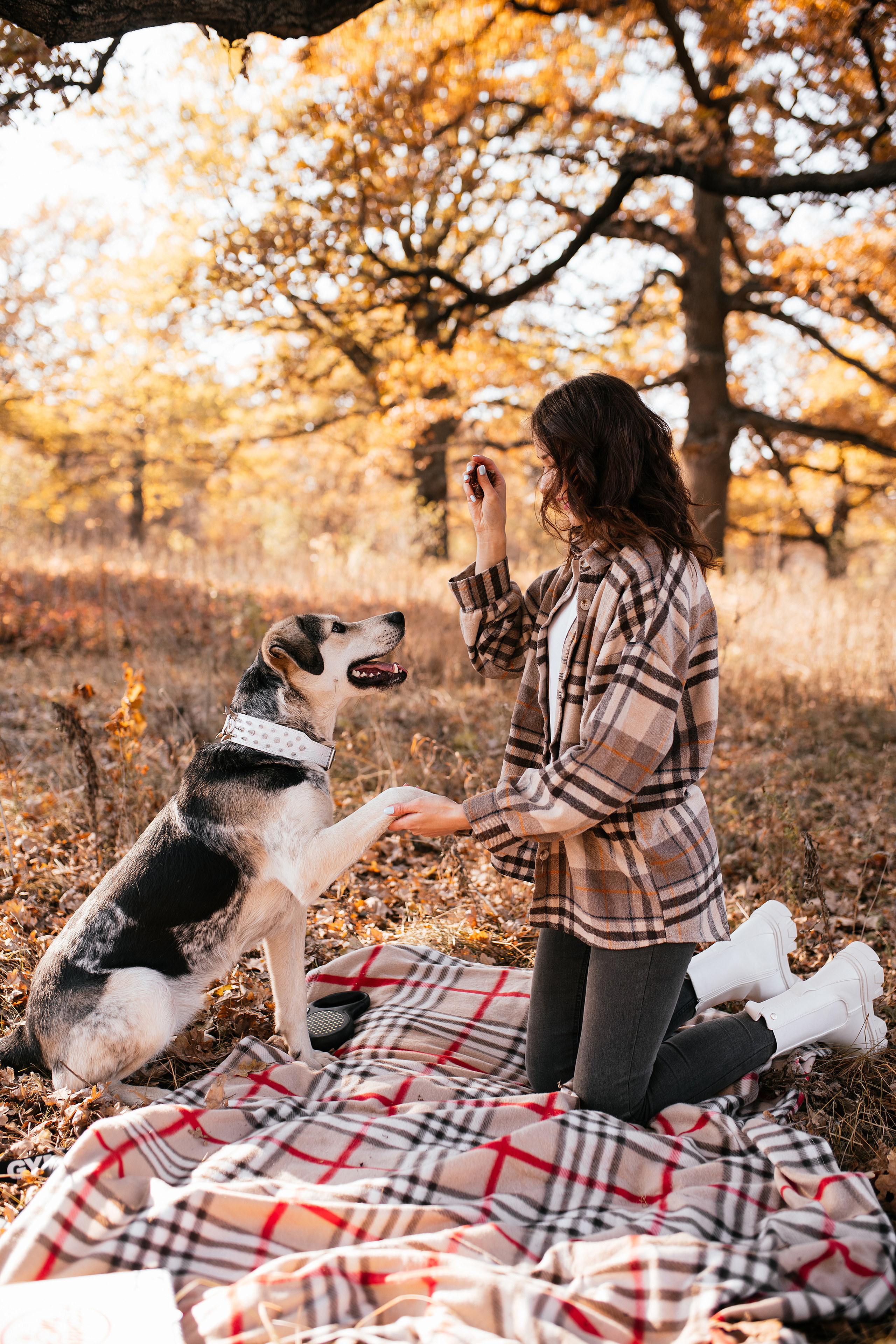 Ирина и Грейси. Свадебный, семейный фотограф в Рязани Лена Брант