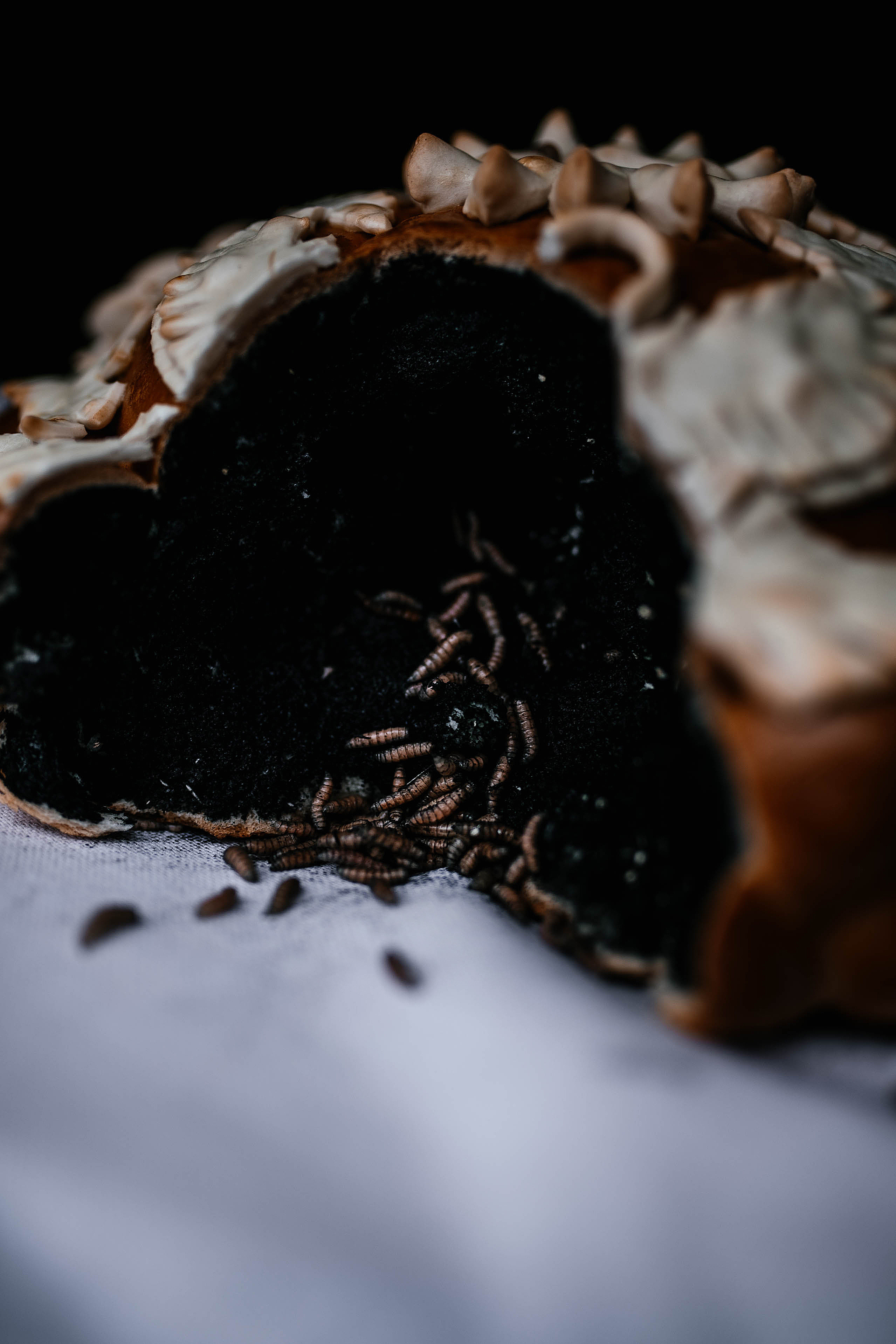 From Russia. Свадебный, семейный фотограф в Рязани Лена Брант