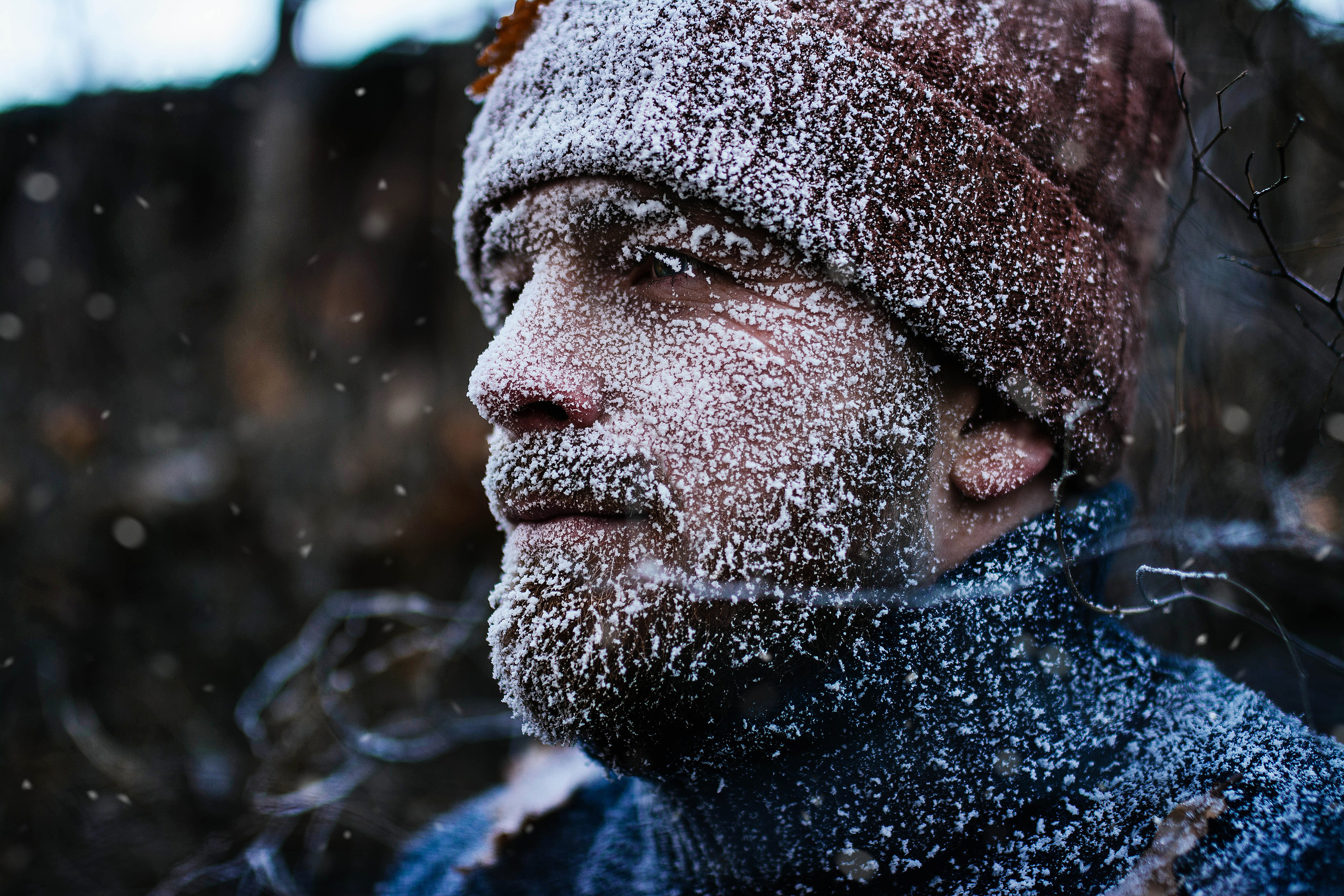 Серии съемок с инеем. Свадебный, семейный фотограф в Рязани Лена Брант