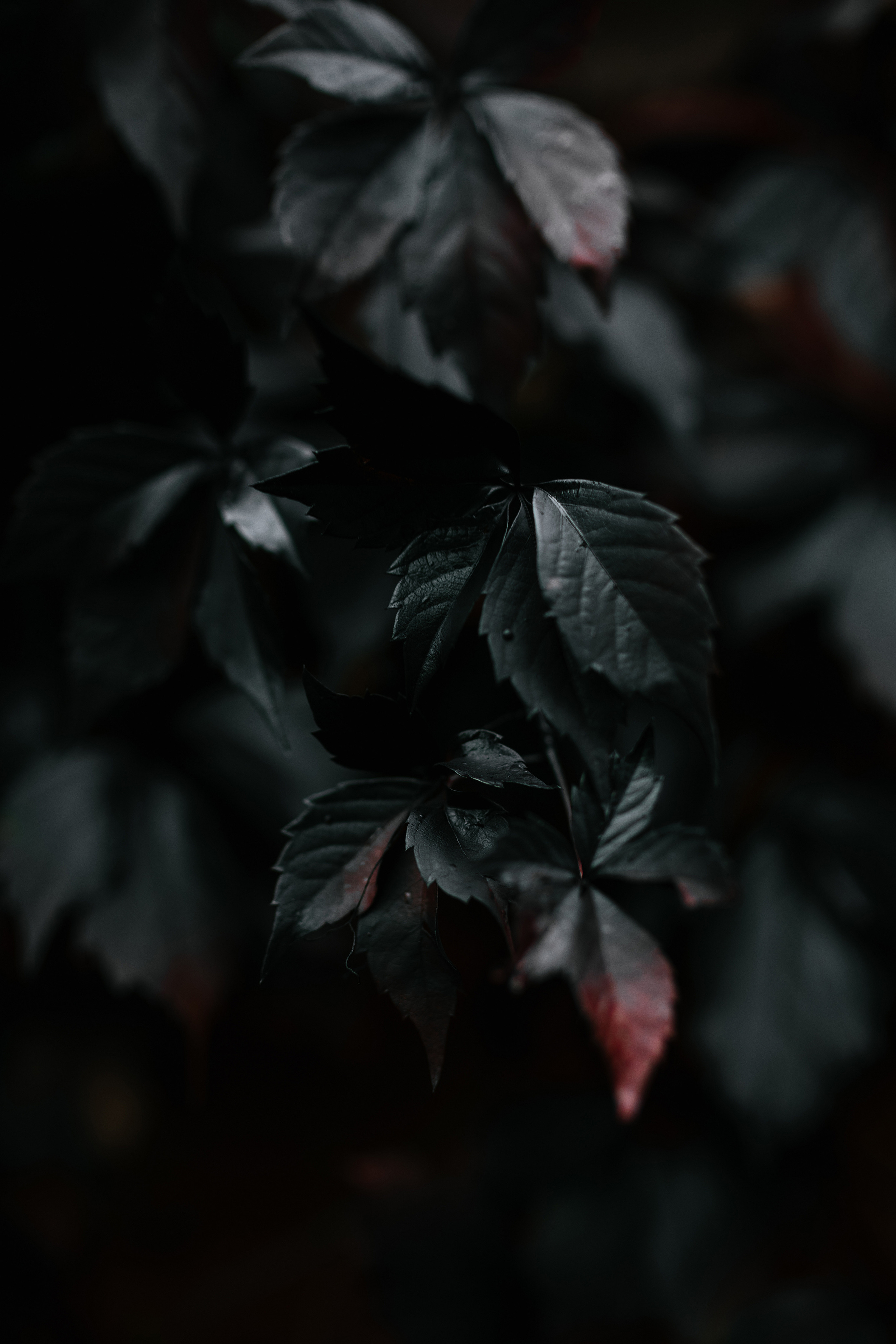 October. Свадебный, семейный фотограф в Рязани Лена Брант