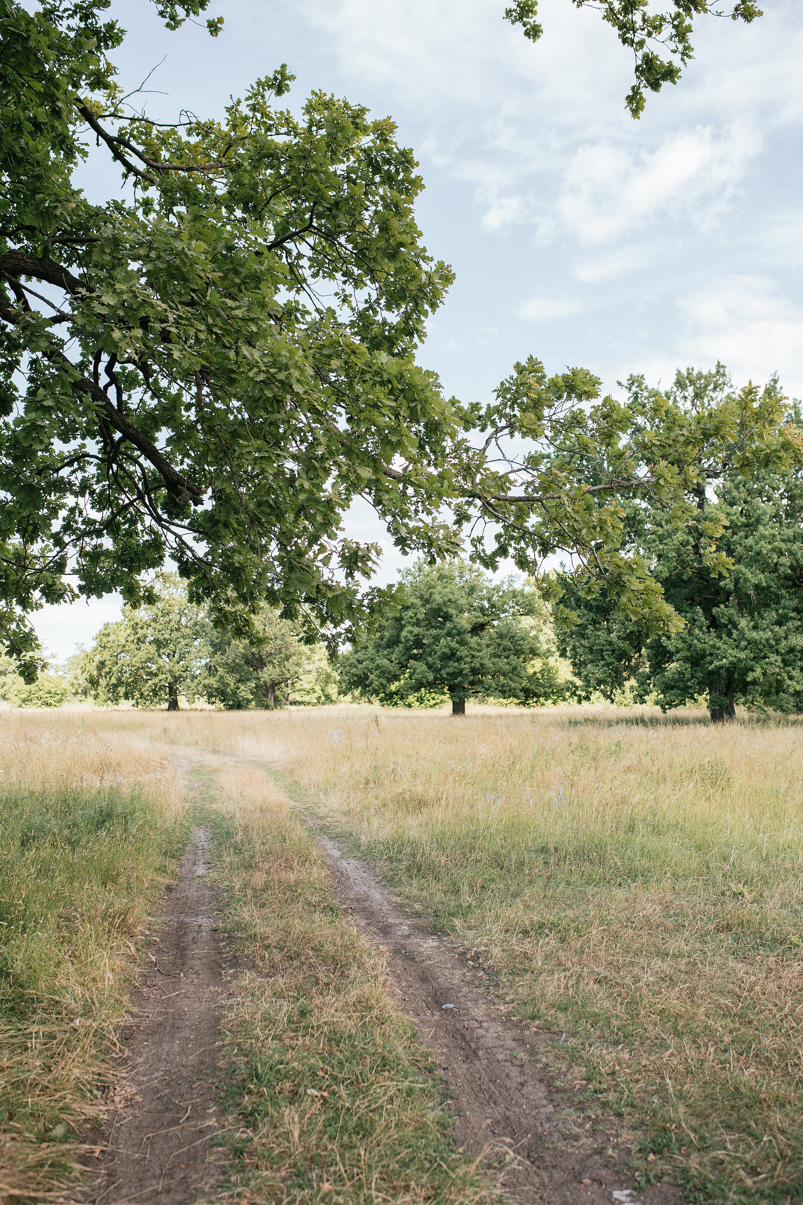 Wedding day #10. Свадебный, семейный фотограф в Рязани Лена Брант