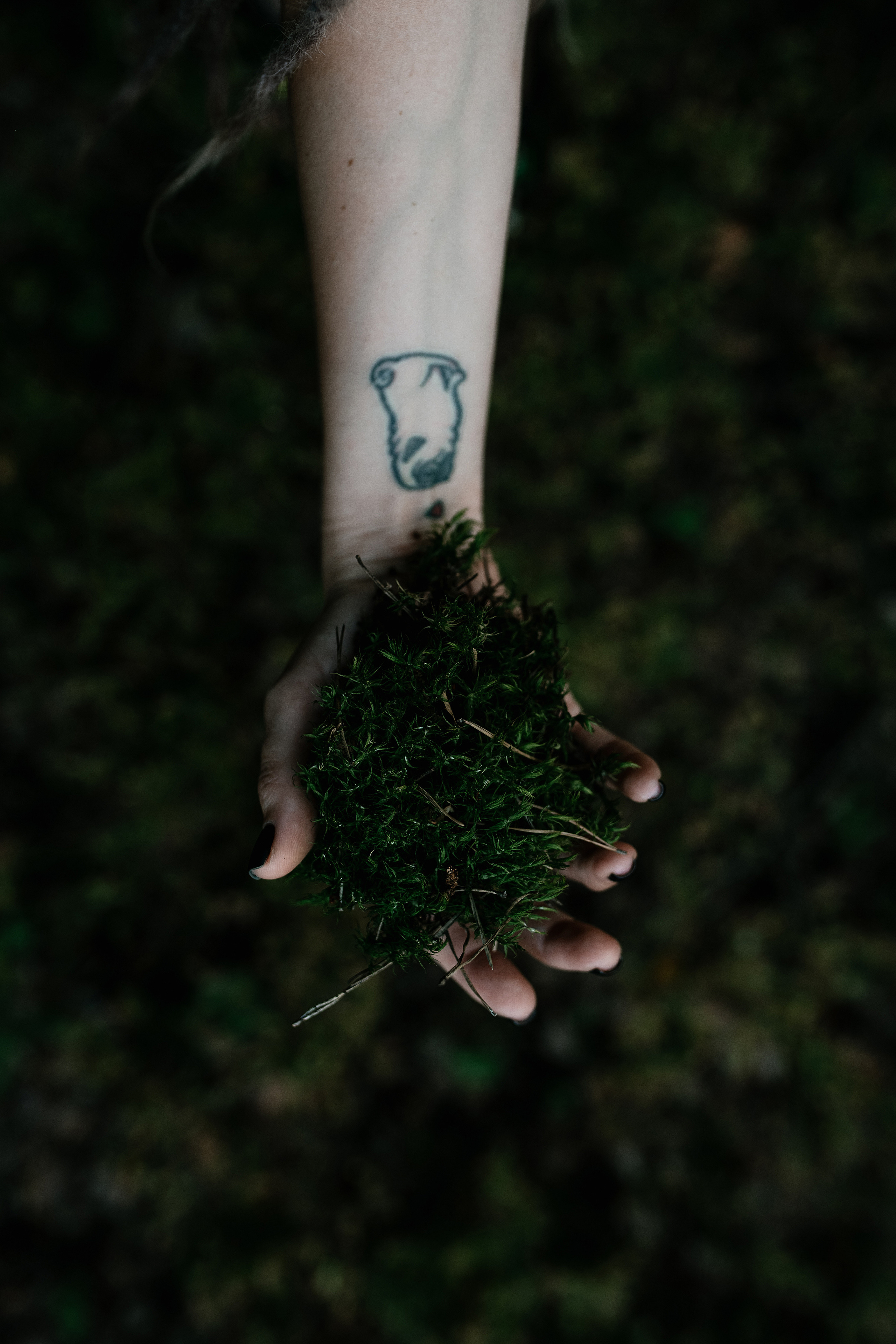 Forest. Свадебный, семейный фотограф в Рязани Лена Брант