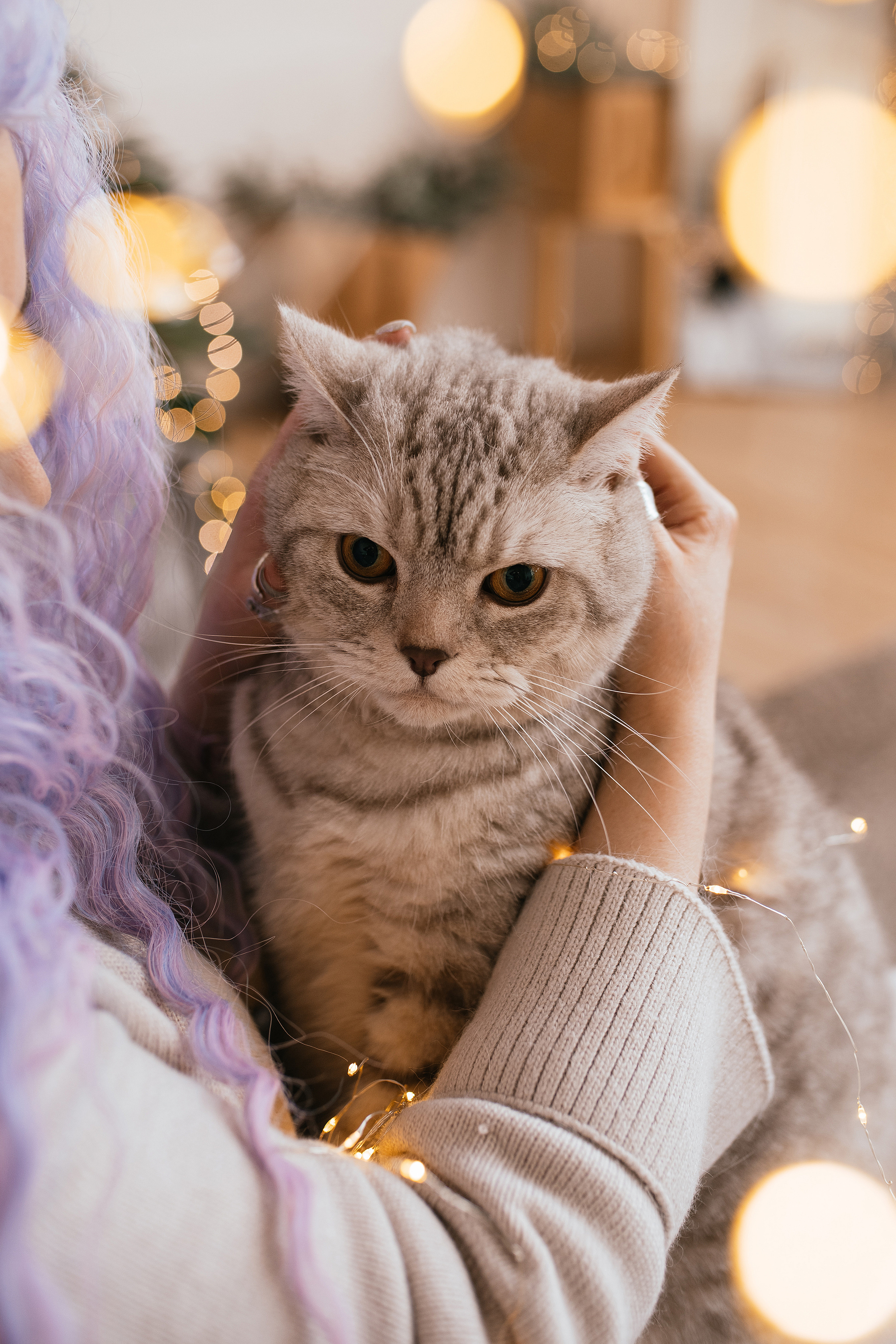 Лена и Батончик. Свадебный, семейный фотограф в Рязани Лена Брант