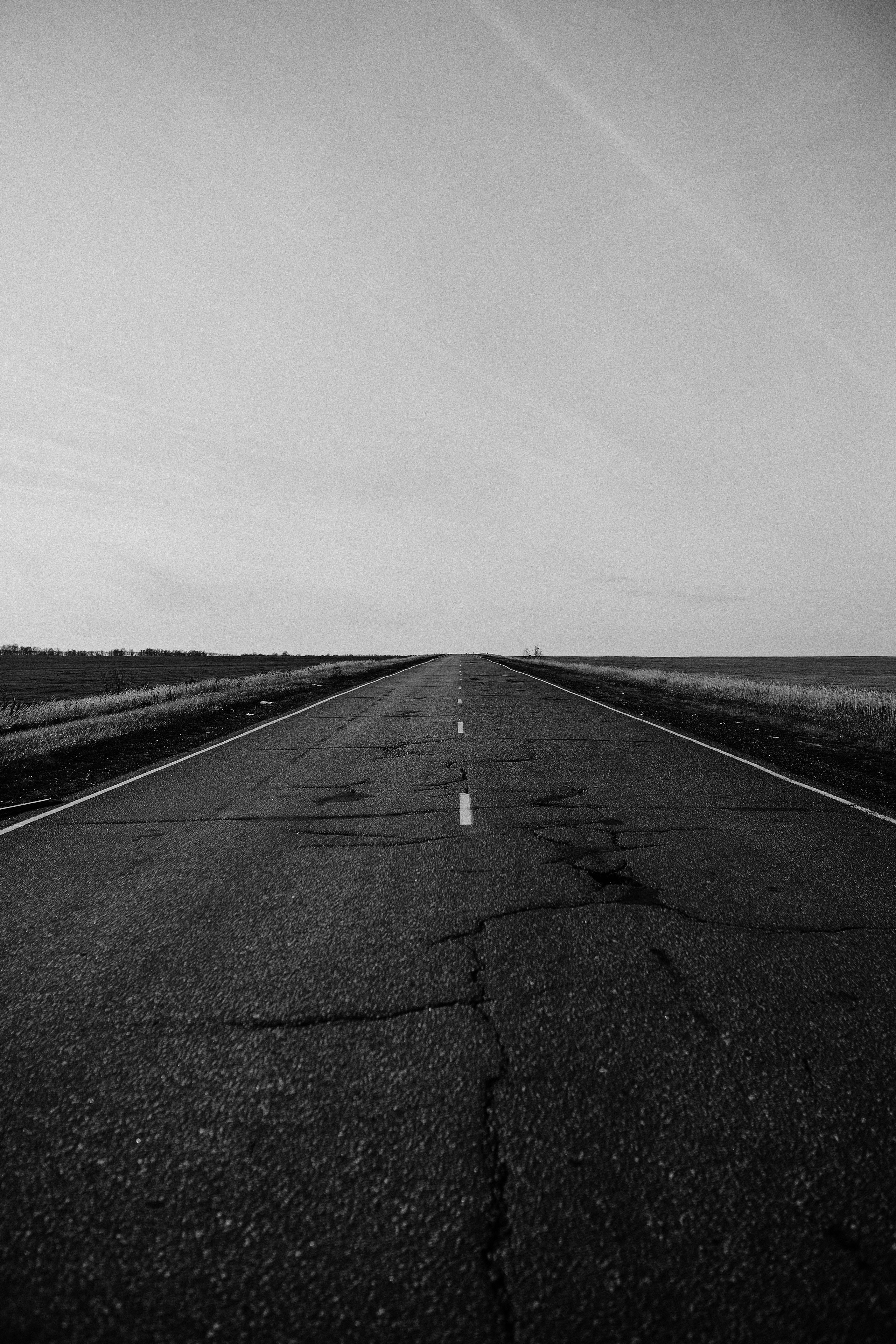 Анатолий. Свадебный, семейный фотограф в Рязани Лена Брант