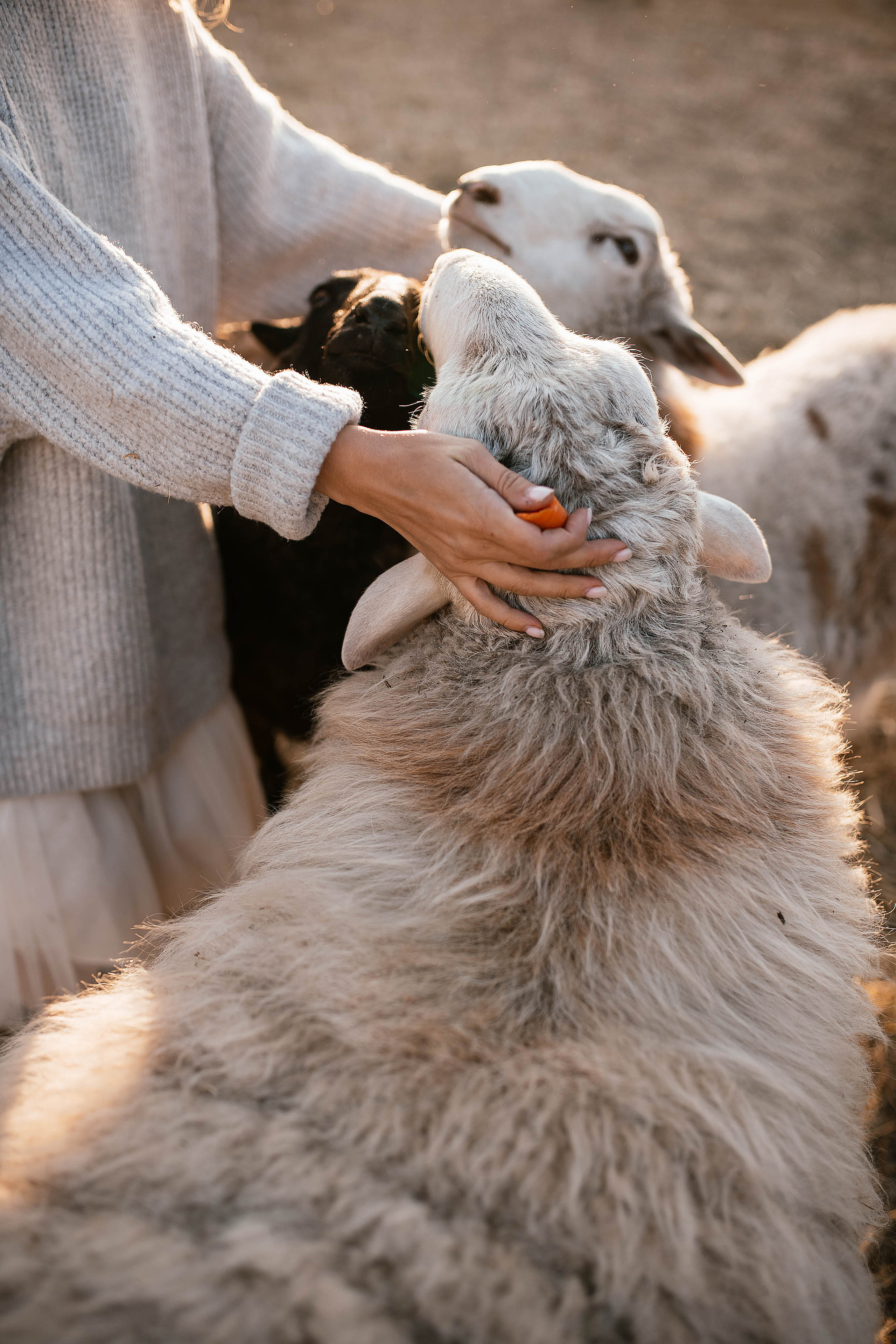 Таня. Свадебный, семейный фотограф в Рязани Лена Брант