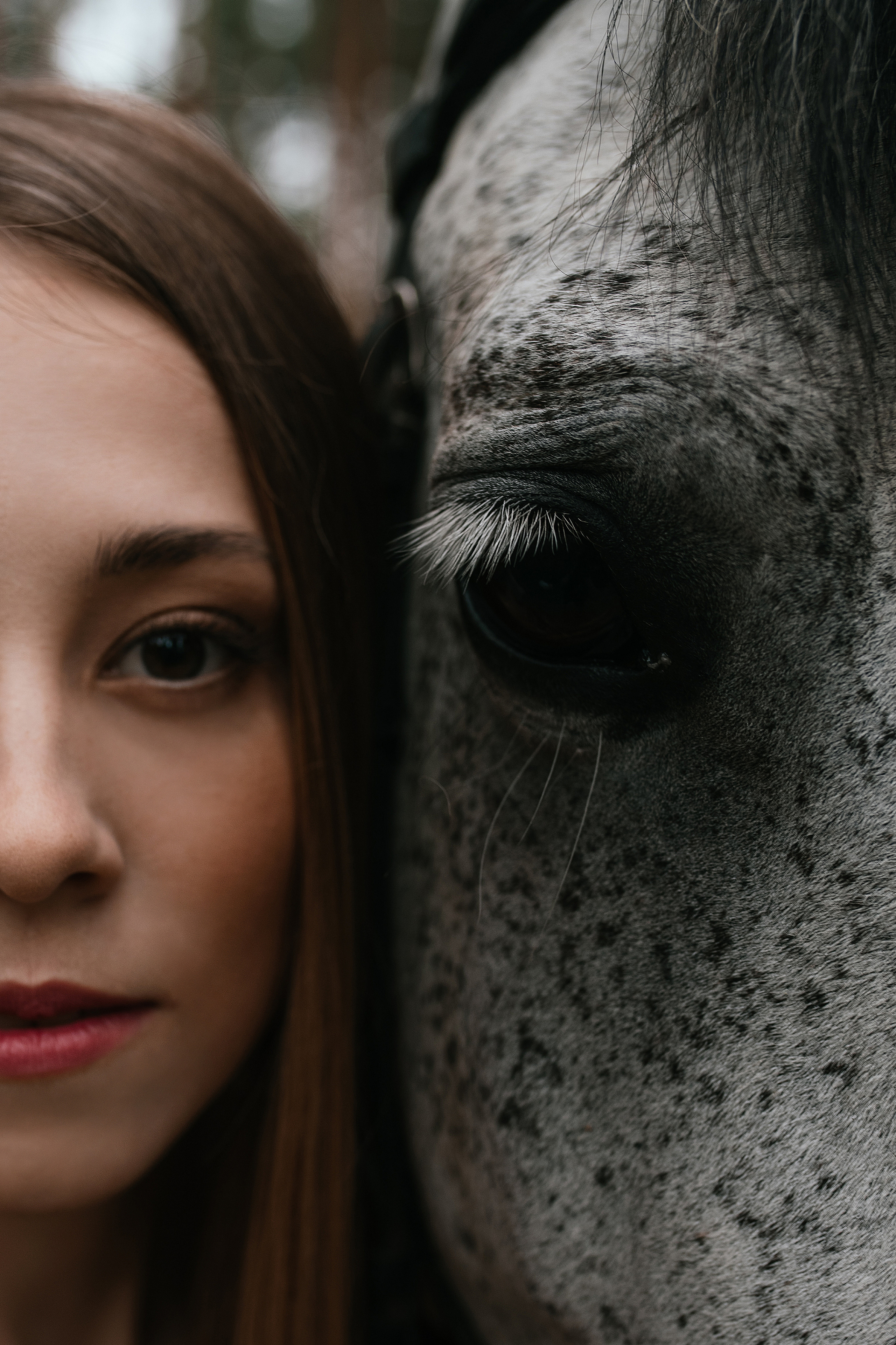Съемки с лошадьми. Свадебный, семейный фотограф в Рязани Лена Брант