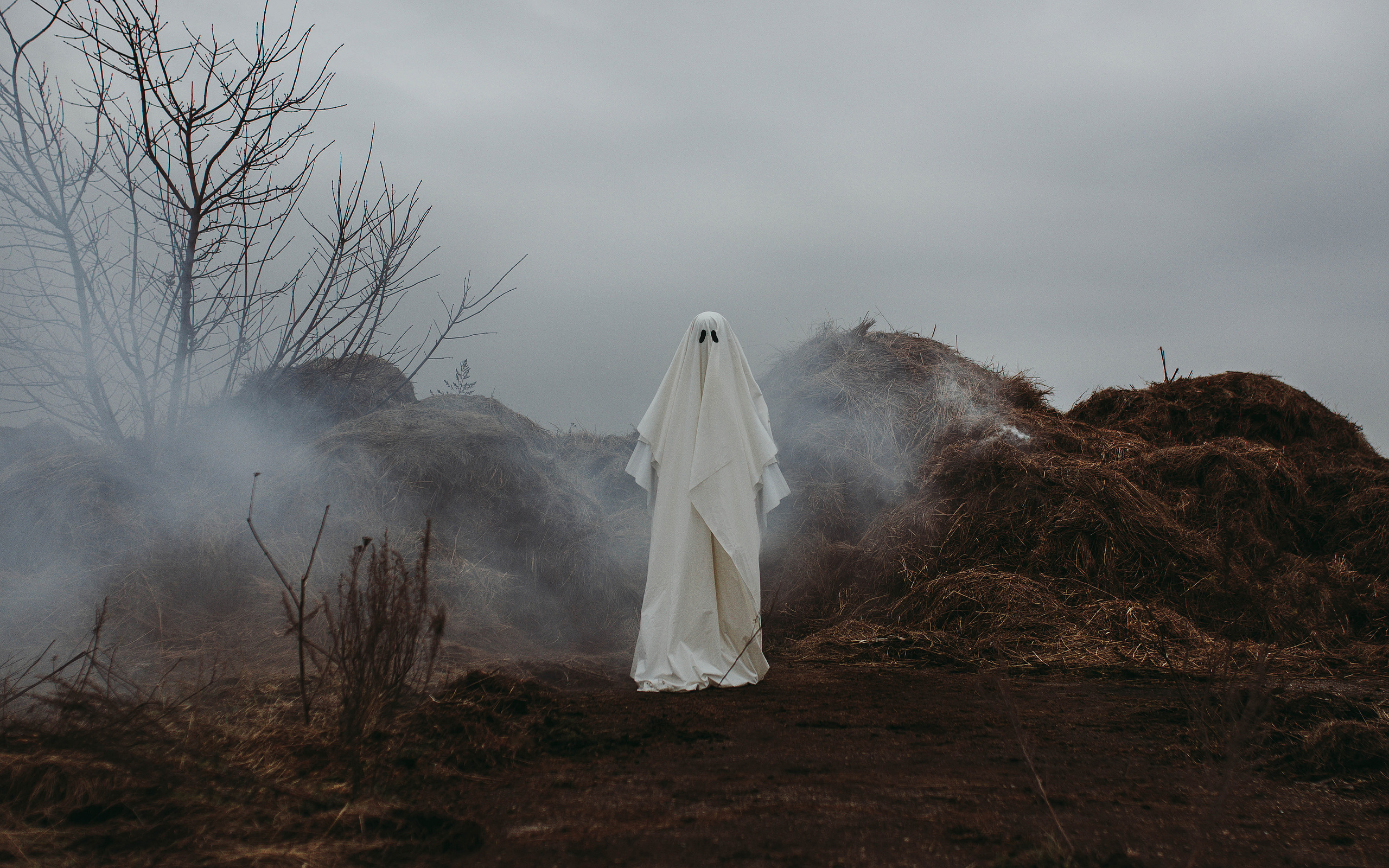 Ghoost. Свадебный, семейный фотограф в Рязани Лена Брант