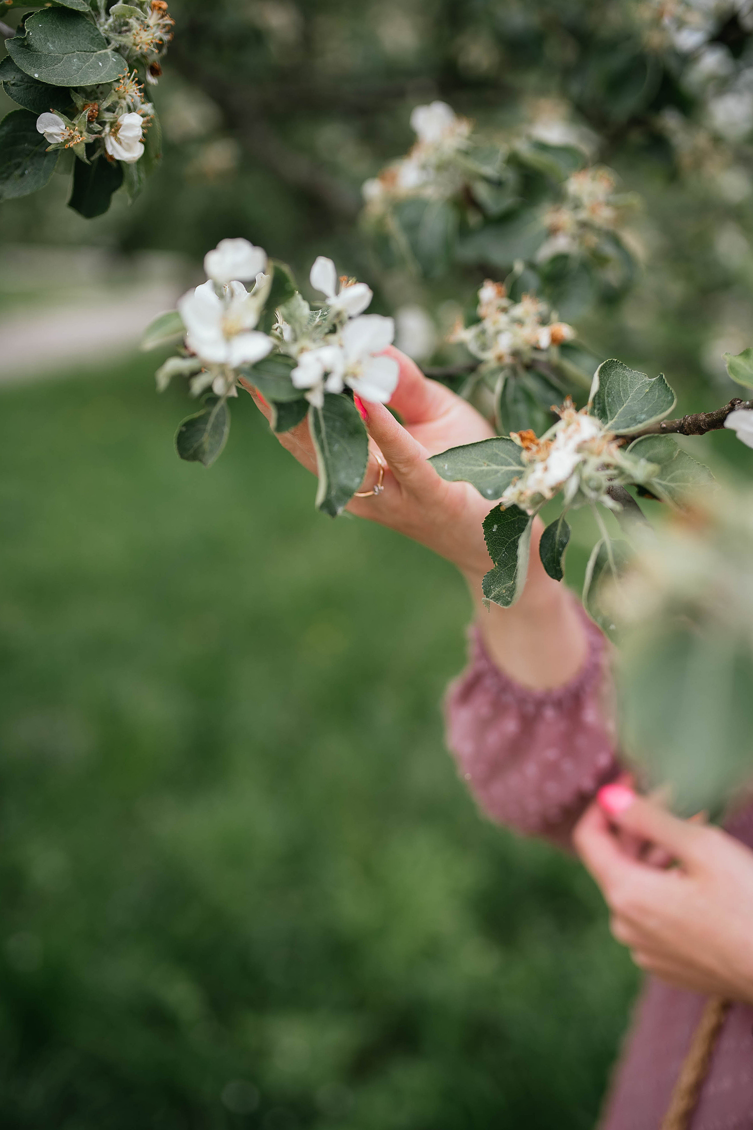 Съемки в цветущих садах. Свадебный, семейный фотограф в Рязани Лена Брант