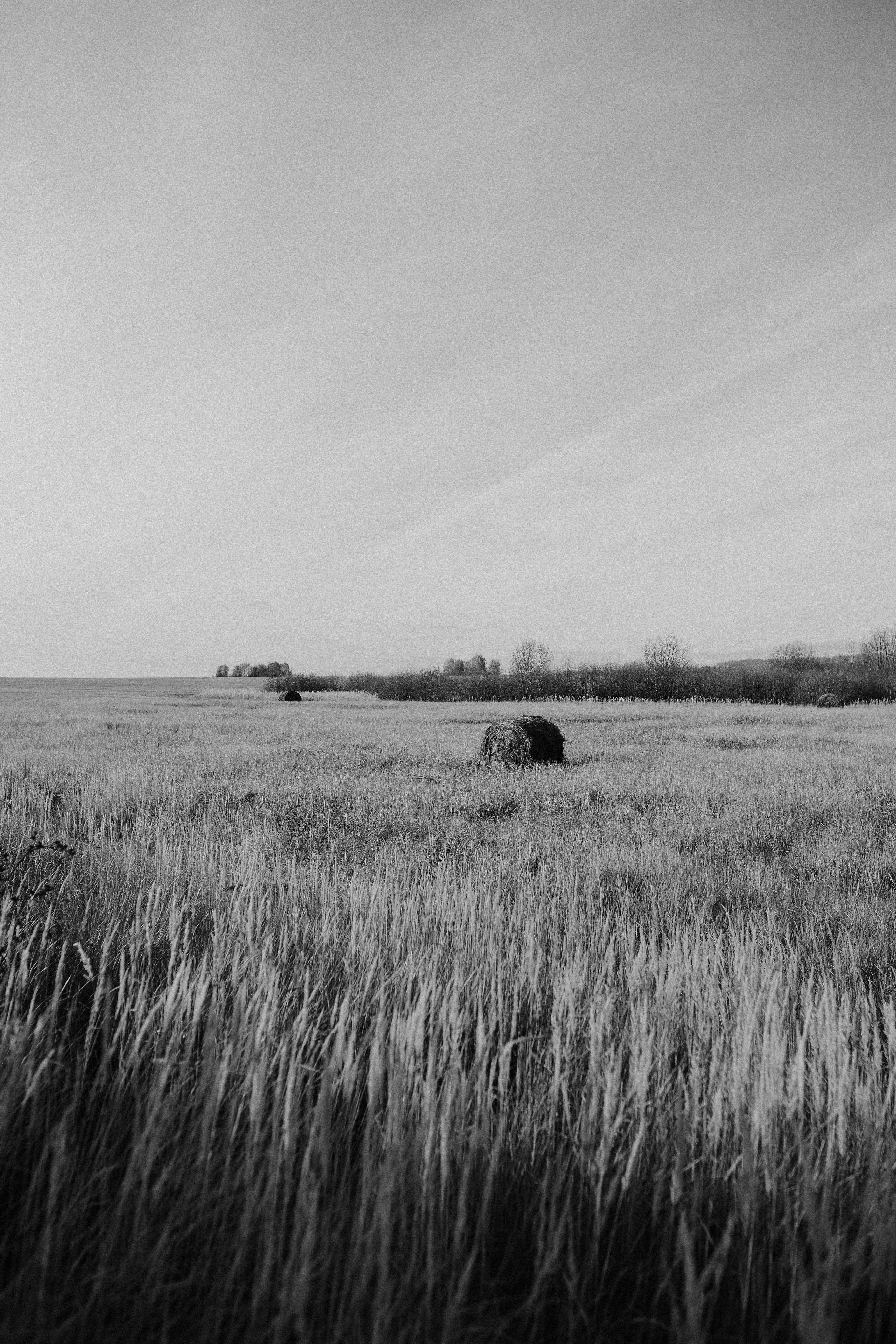Анатолий. Свадебный, семейный фотограф в Рязани Лена Брант