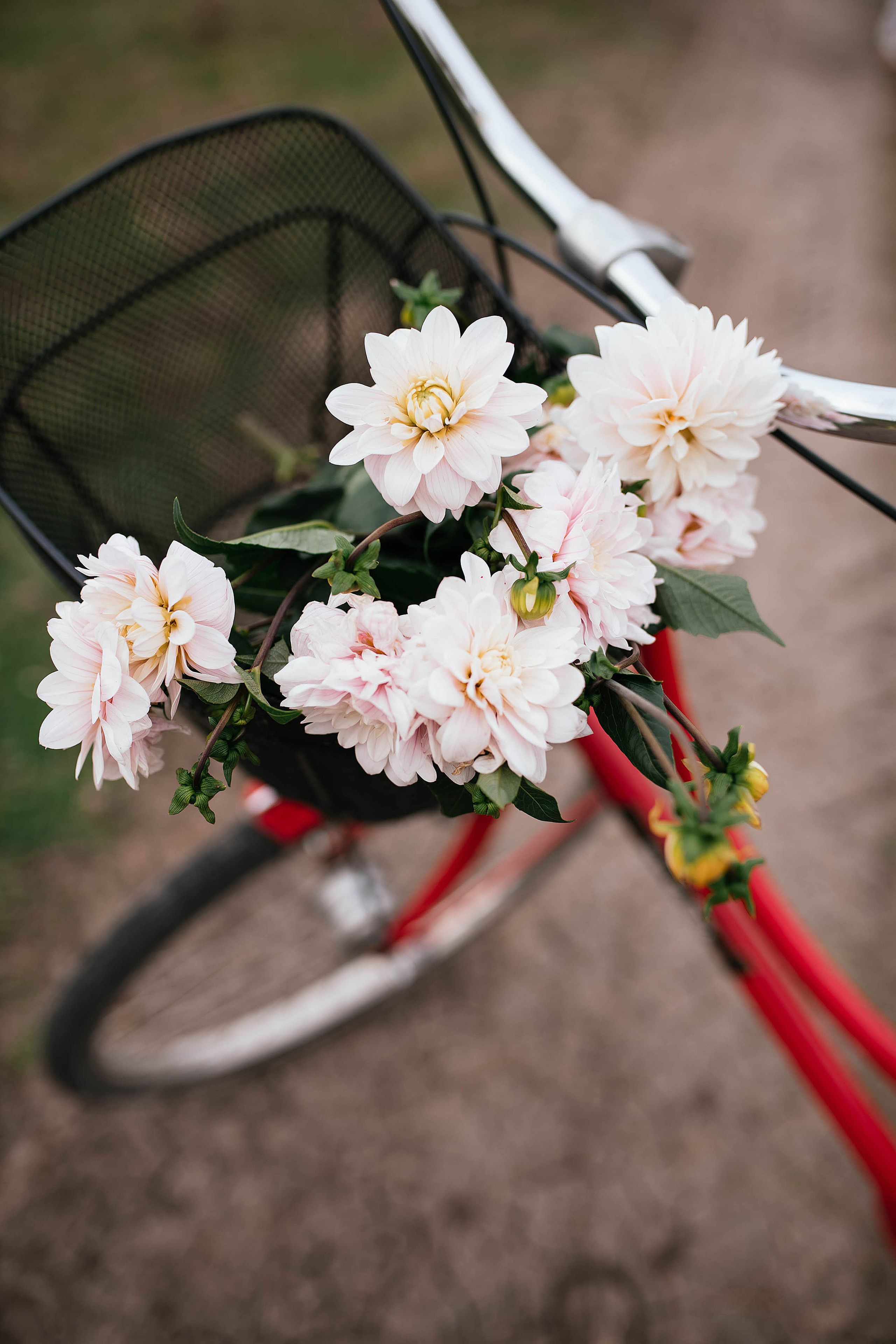 Даша. Свадебный, семейный фотограф в Рязани Лена Брант