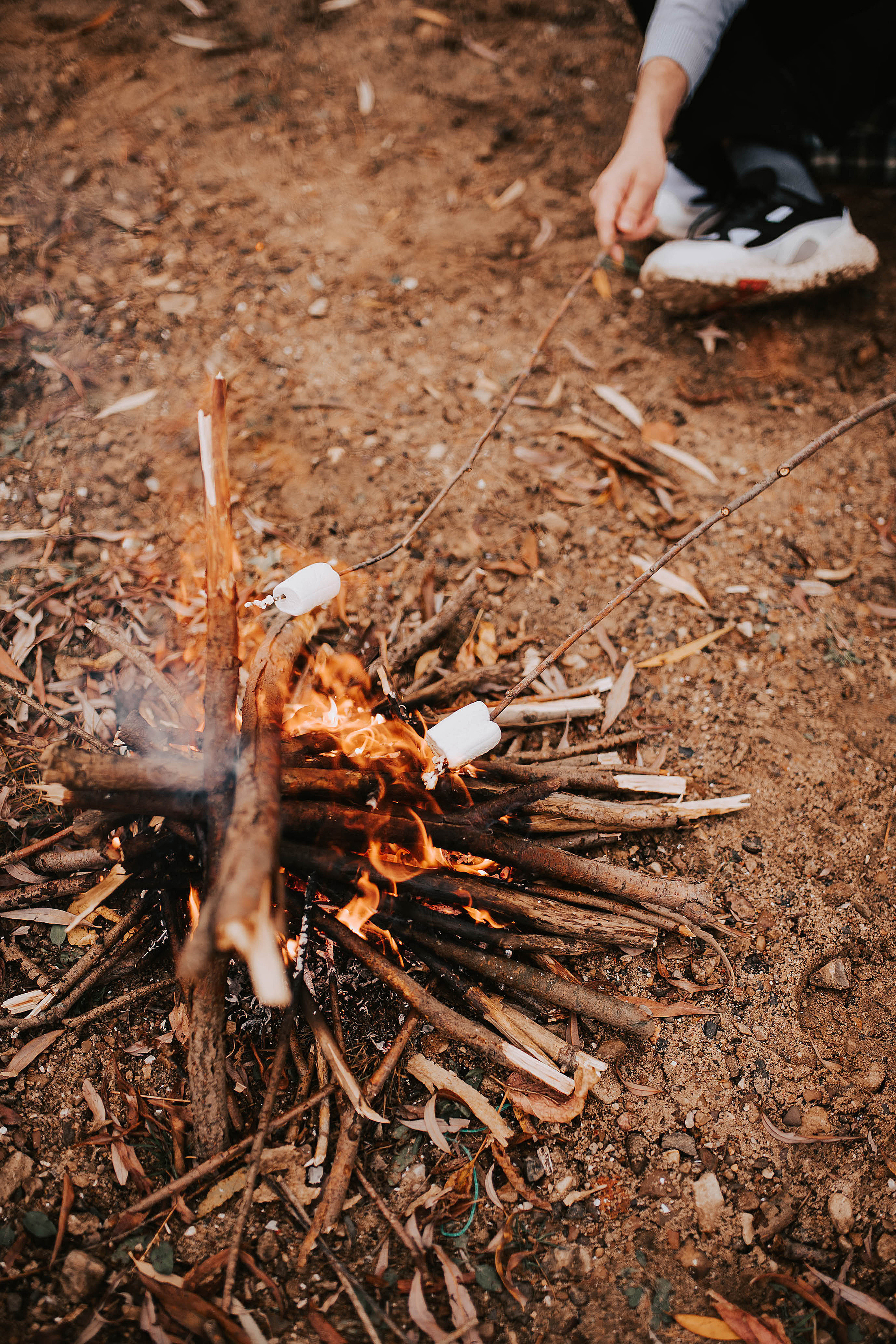 Осенний фотодень. Свадебный, семейный фотограф в Рязани Лена Брант