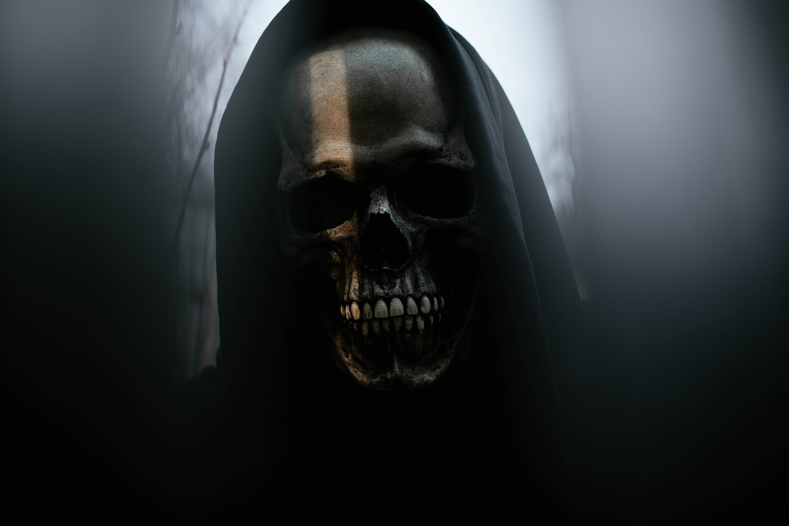 Death. Свадебный, семейный фотограф в Рязани Лена Брант