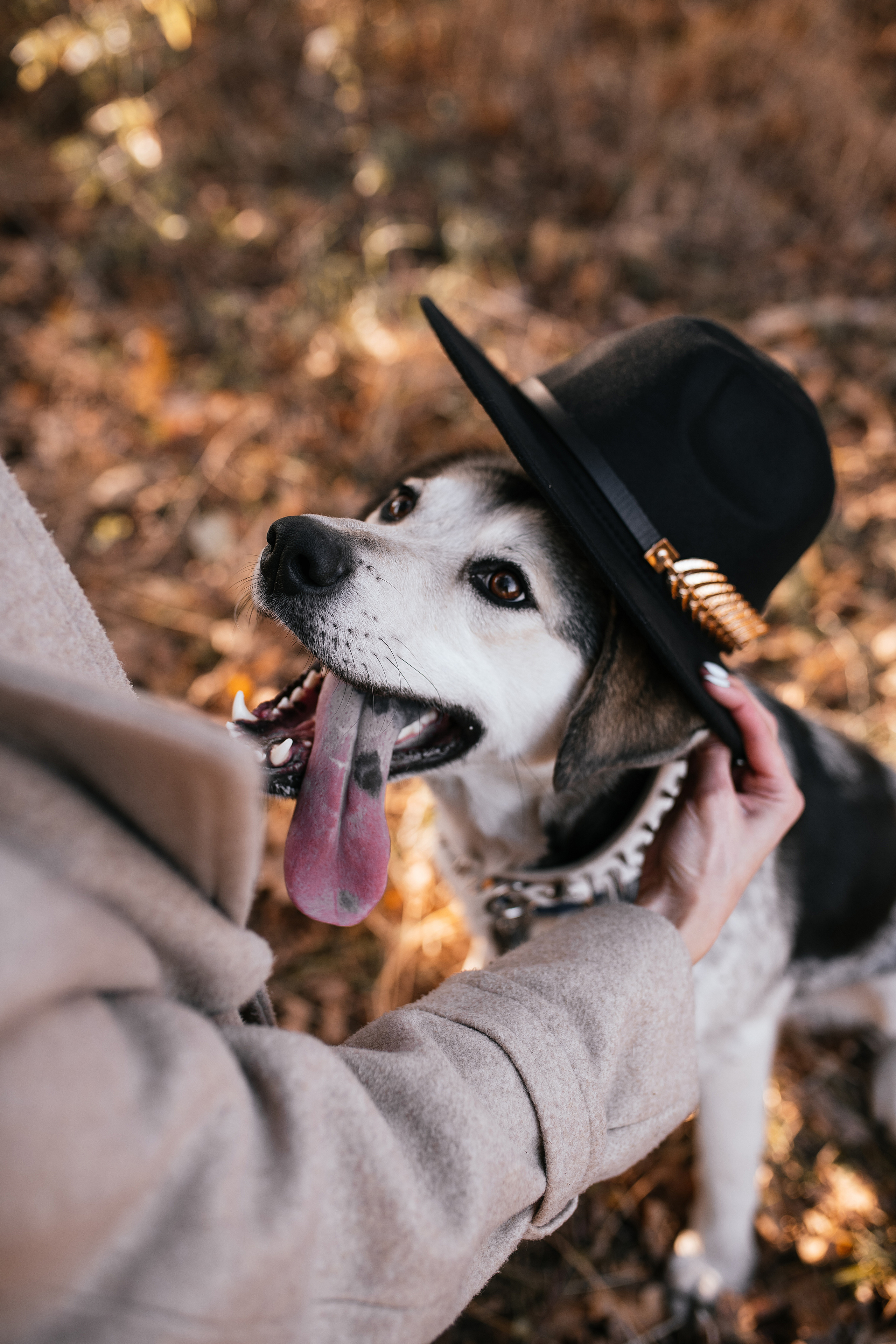 Ирина и Грейси. Свадебный, семейный фотограф в Рязани Лена Брант