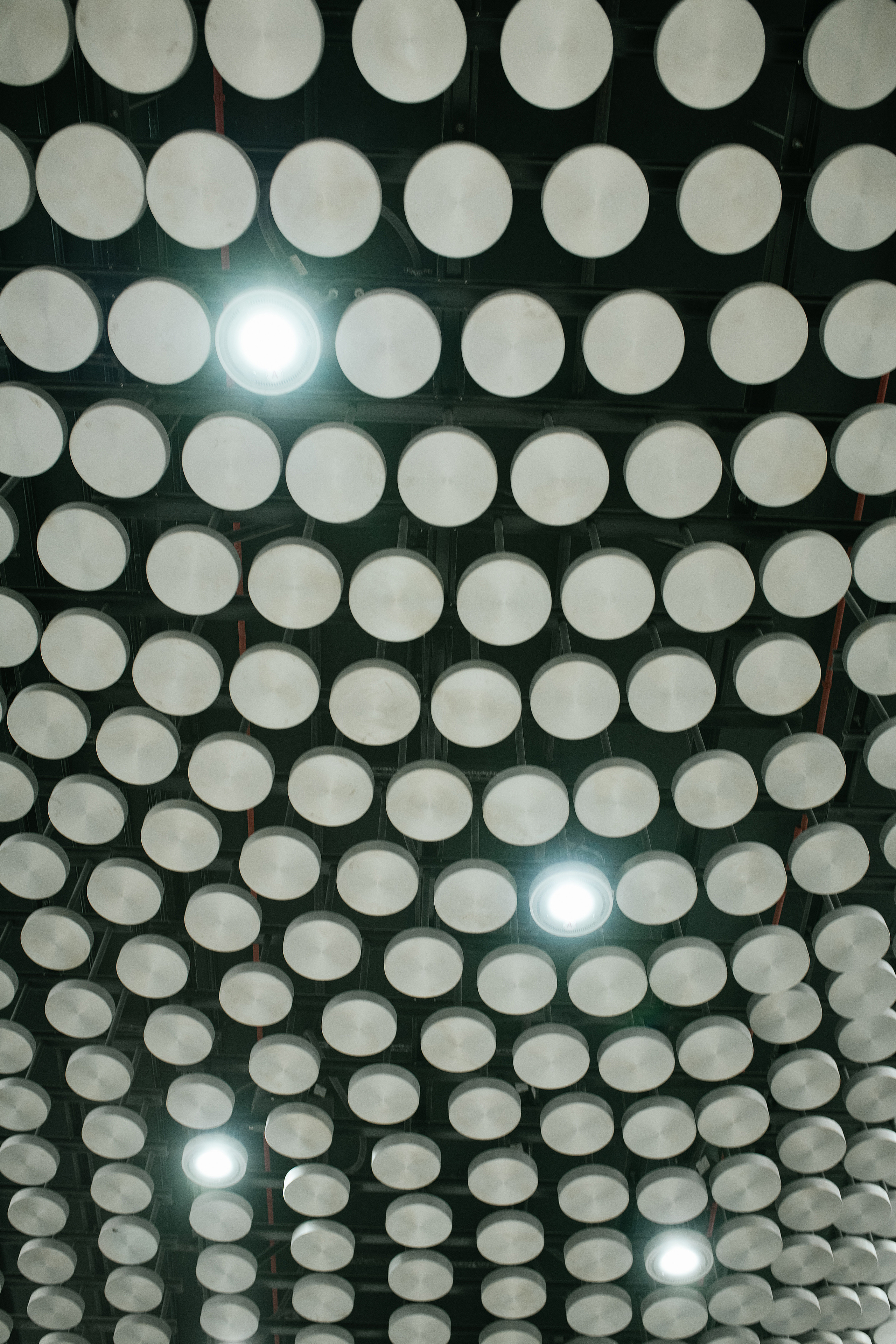 Лена. Метро. Свадебный, семейный фотограф в Рязани Лена Брант