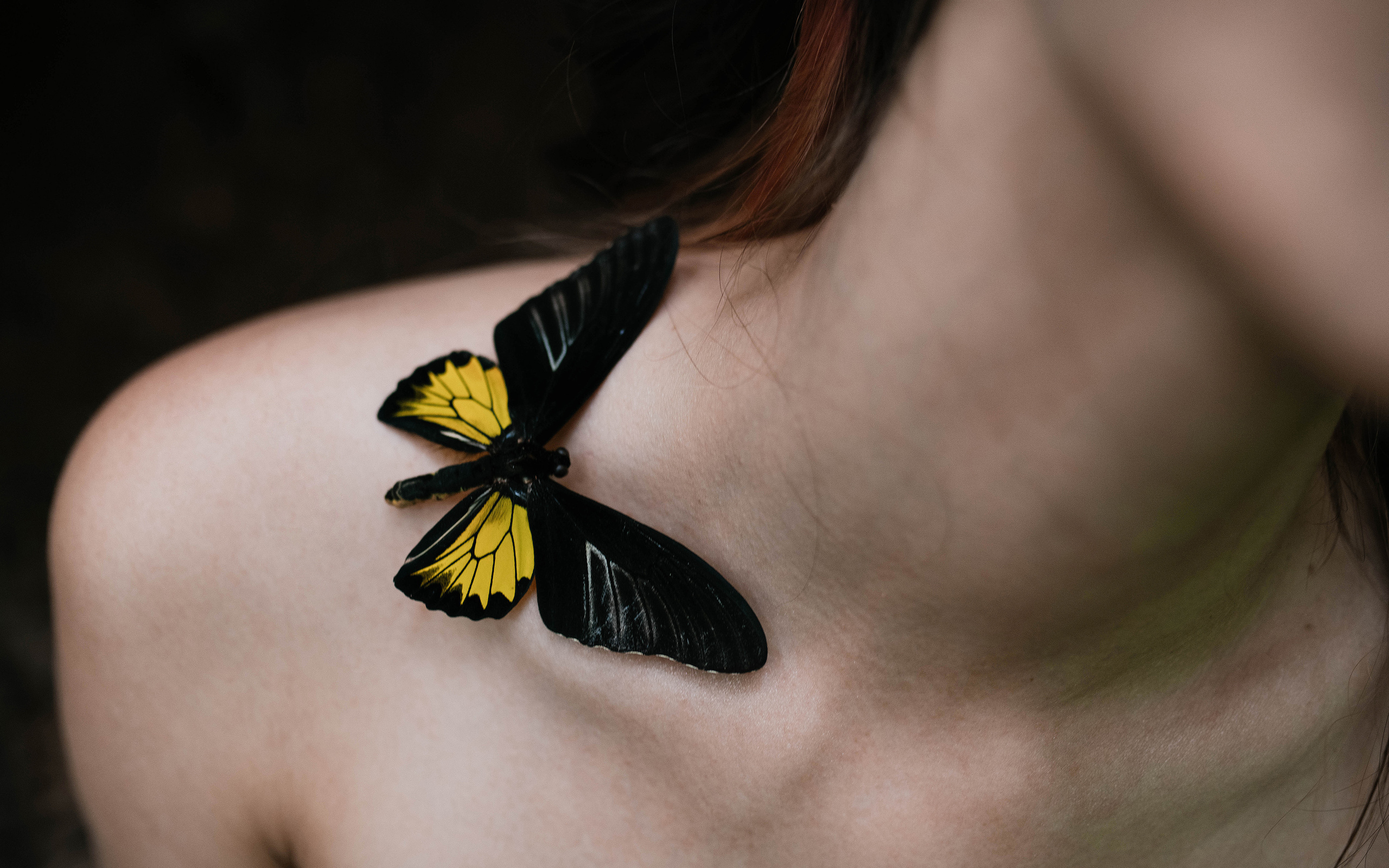 Butterflies. Свадебный, семейный фотограф в Рязани Лена Брант