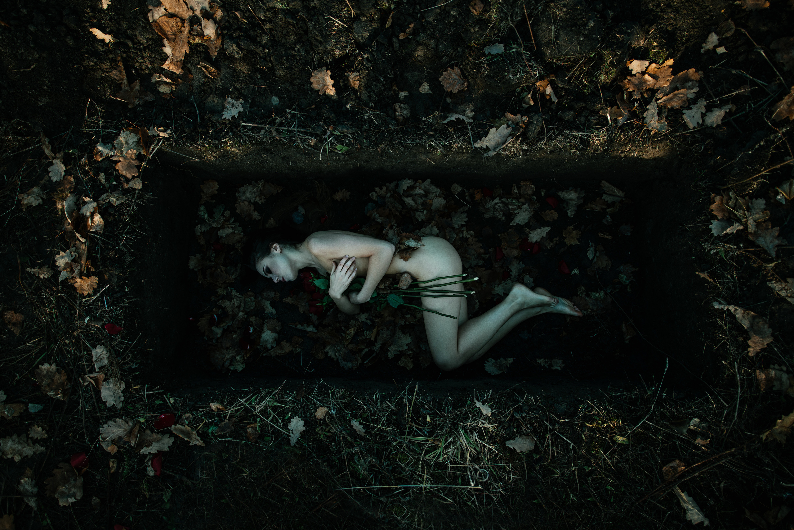 Цветы над тобой никогда не завянут. Свадебный, семейный фотограф в Рязани Лена Брант