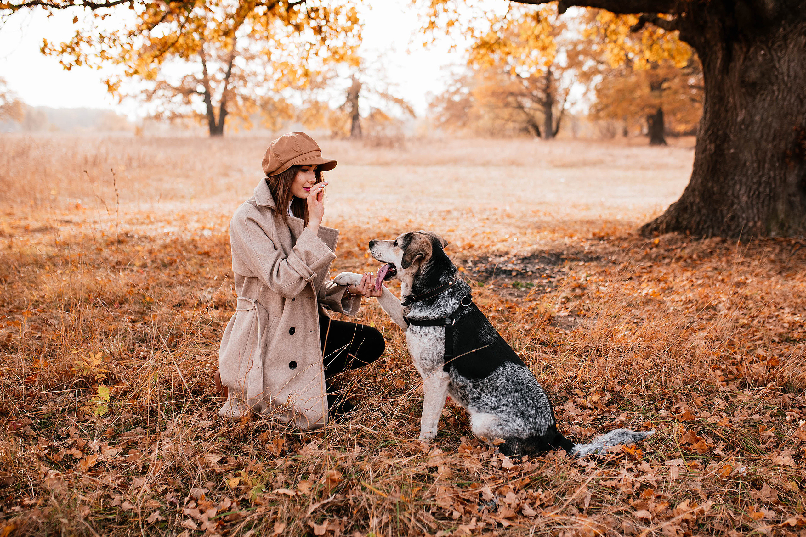 Ирина и Грейси. Свадебный, семейный фотограф в Рязани Лена Брант