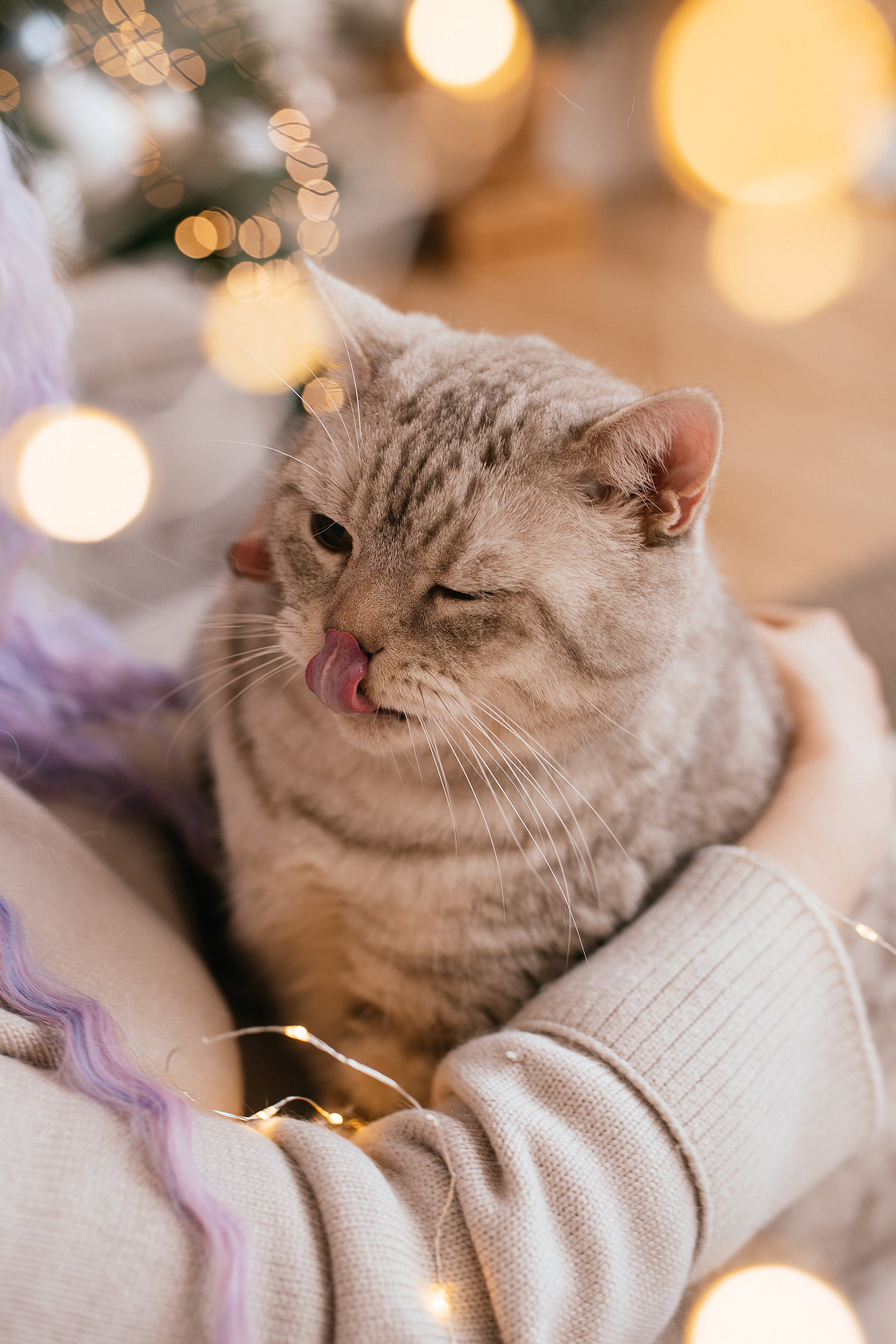 Лена и Батончик. Свадебный, семейный фотограф в Рязани Лена Брант
