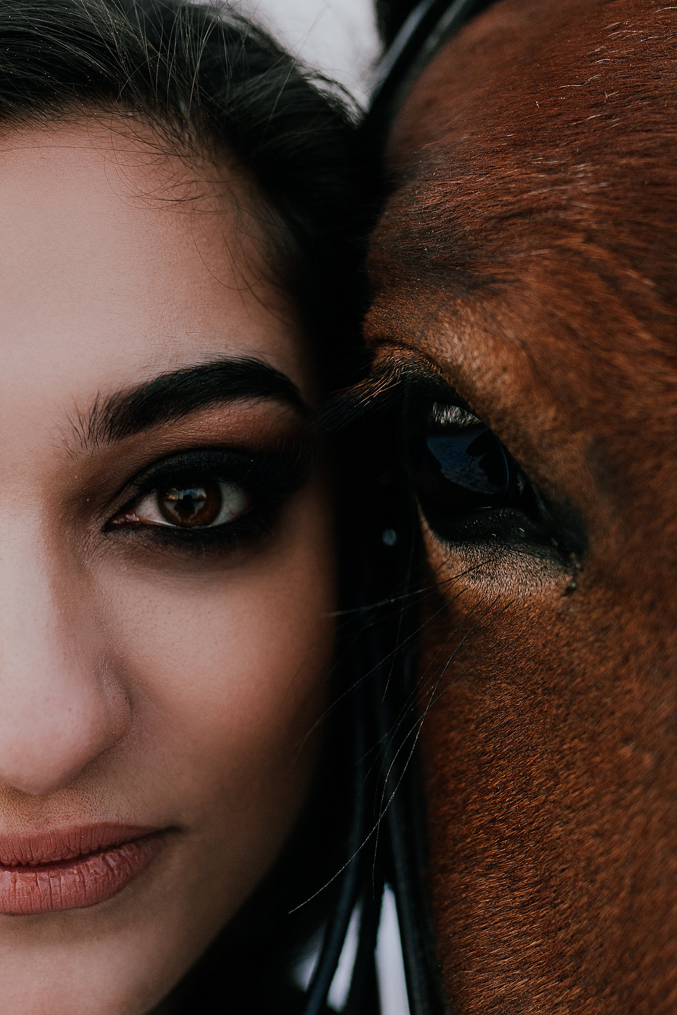 Съемки с лошадьми. Свадебный, семейный фотограф в Рязани Лена Брант