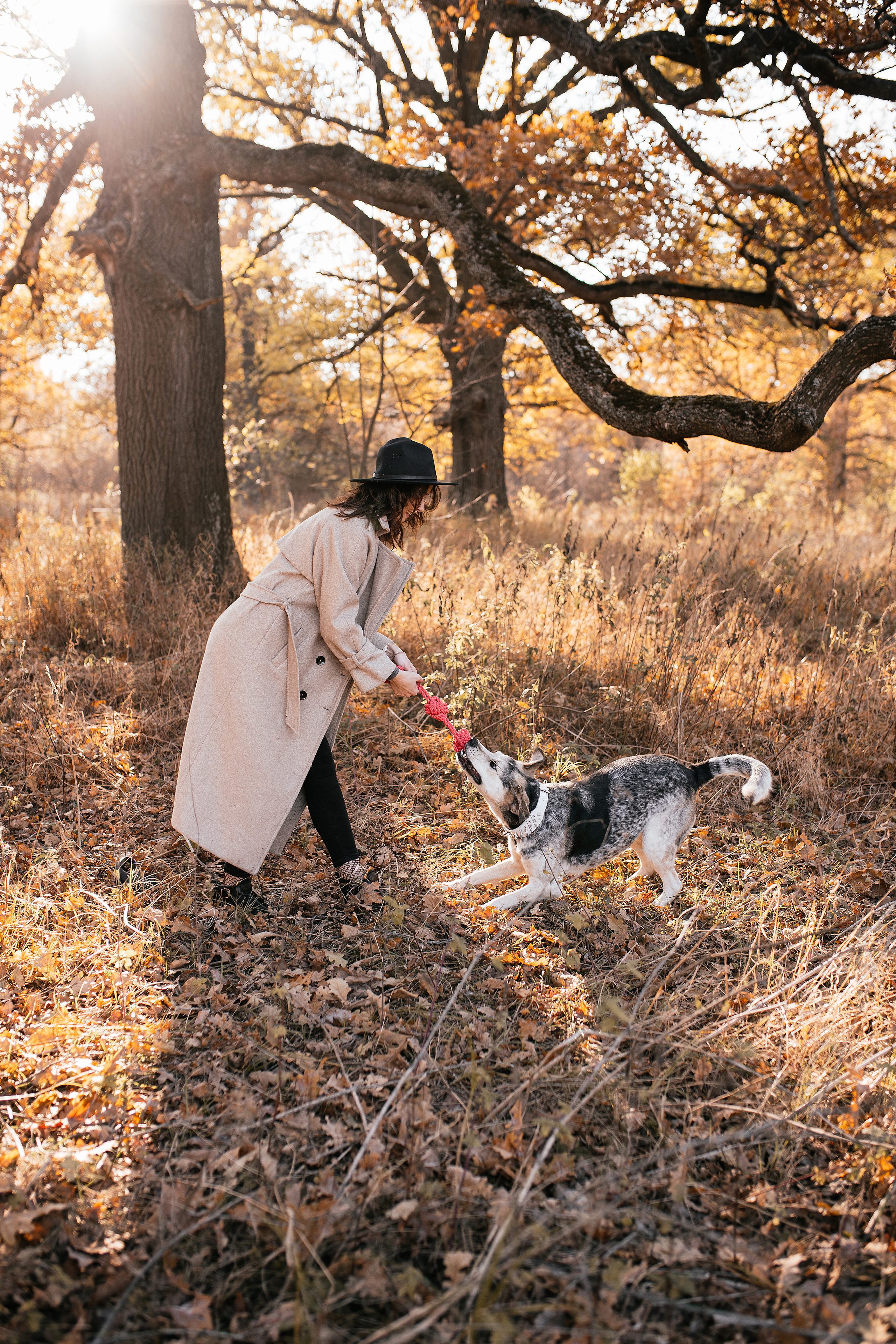 Ирина и Грейси. Свадебный, семейный фотограф в Рязани Лена Брант