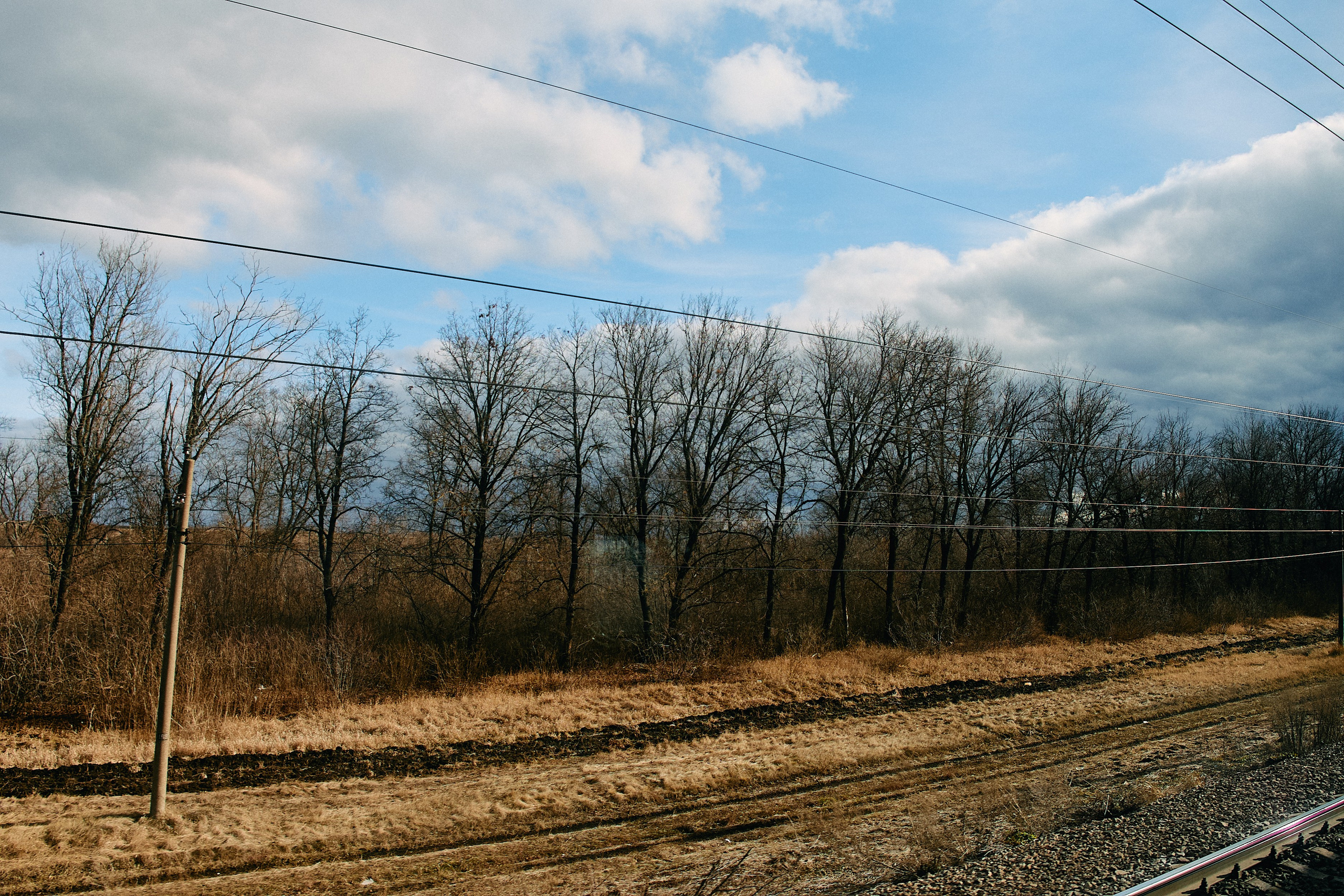 Юг России. Профессиональный Фотограф во Владимире, в Москве и в Суздале — Полина Романычева