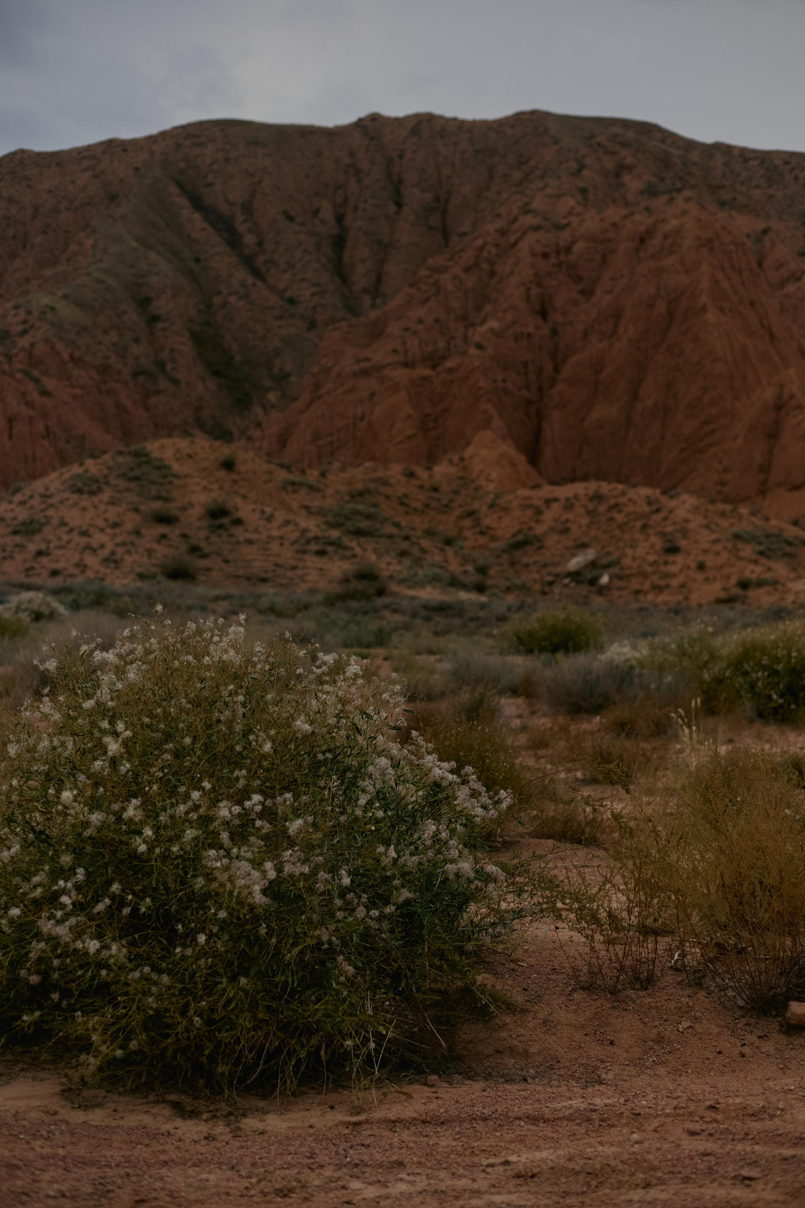 Кыргызтан. Профессиональный Фотограф во Владимире, в Москве и в Суздале — Полина Романычева