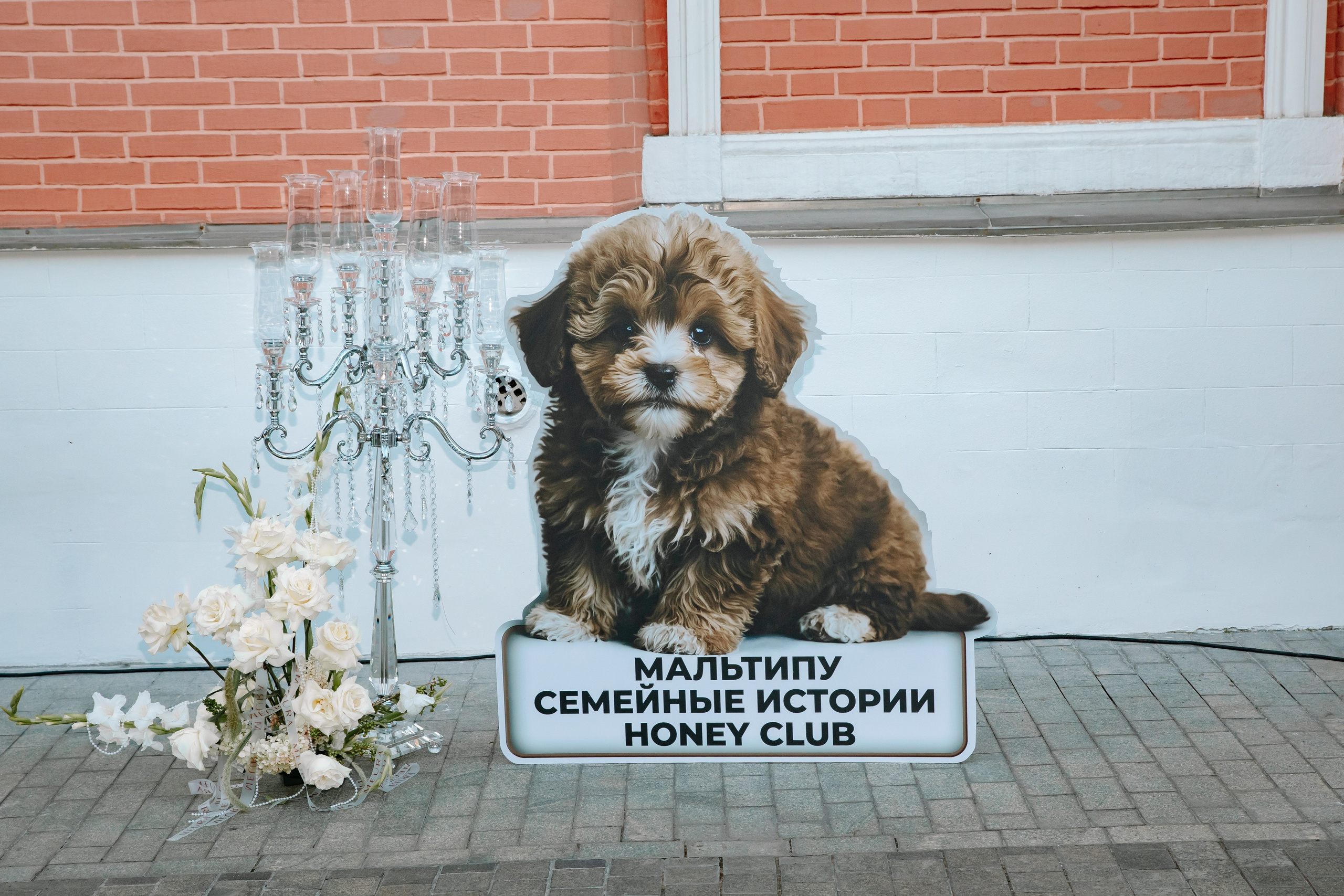 AESTHETIC ONLY в Петровском путевом дворце. Фотограф в Москве Яна Полосина