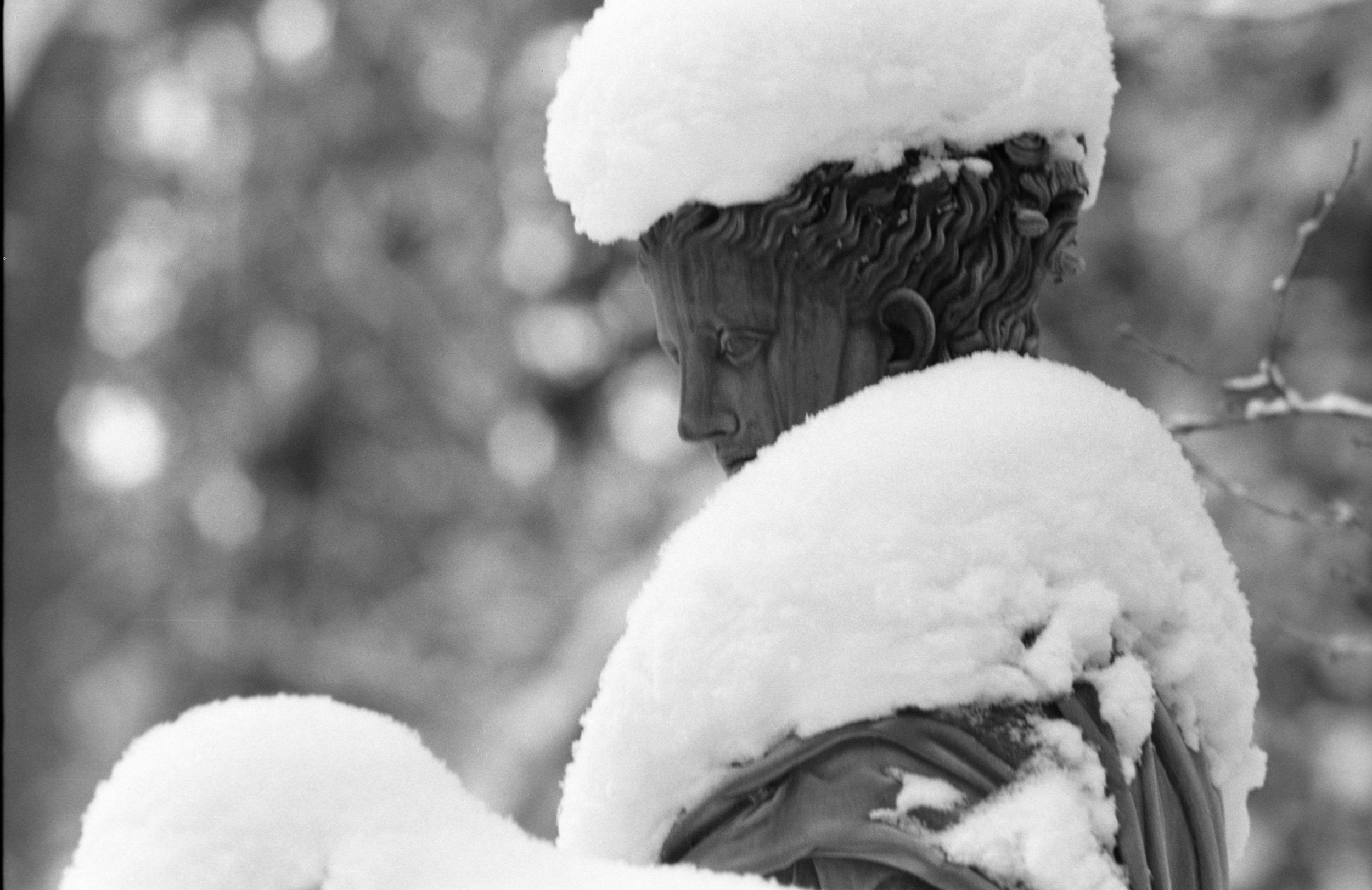 Anima Russa. Елена Цихон художник фотографии и мастер фото-ДНК