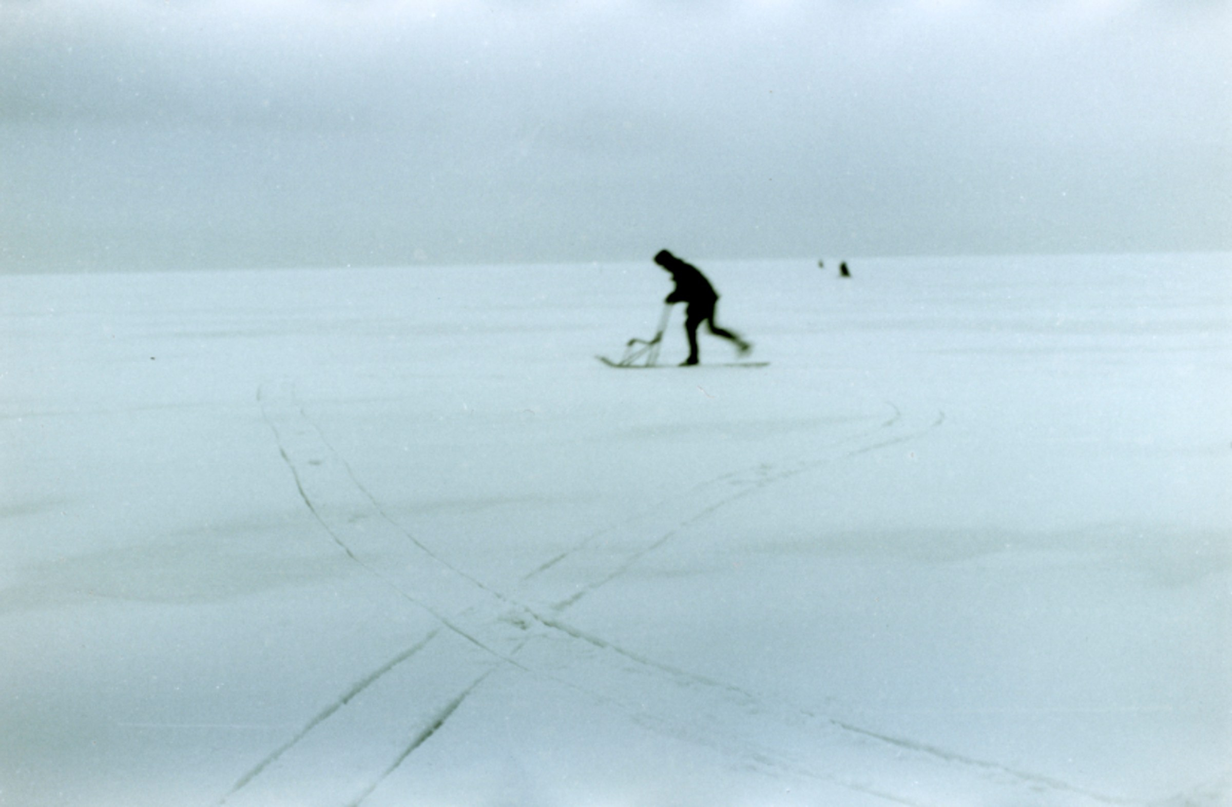 Meanwhile. Елена Цихон художник фотографии и мастер фото-ДНК