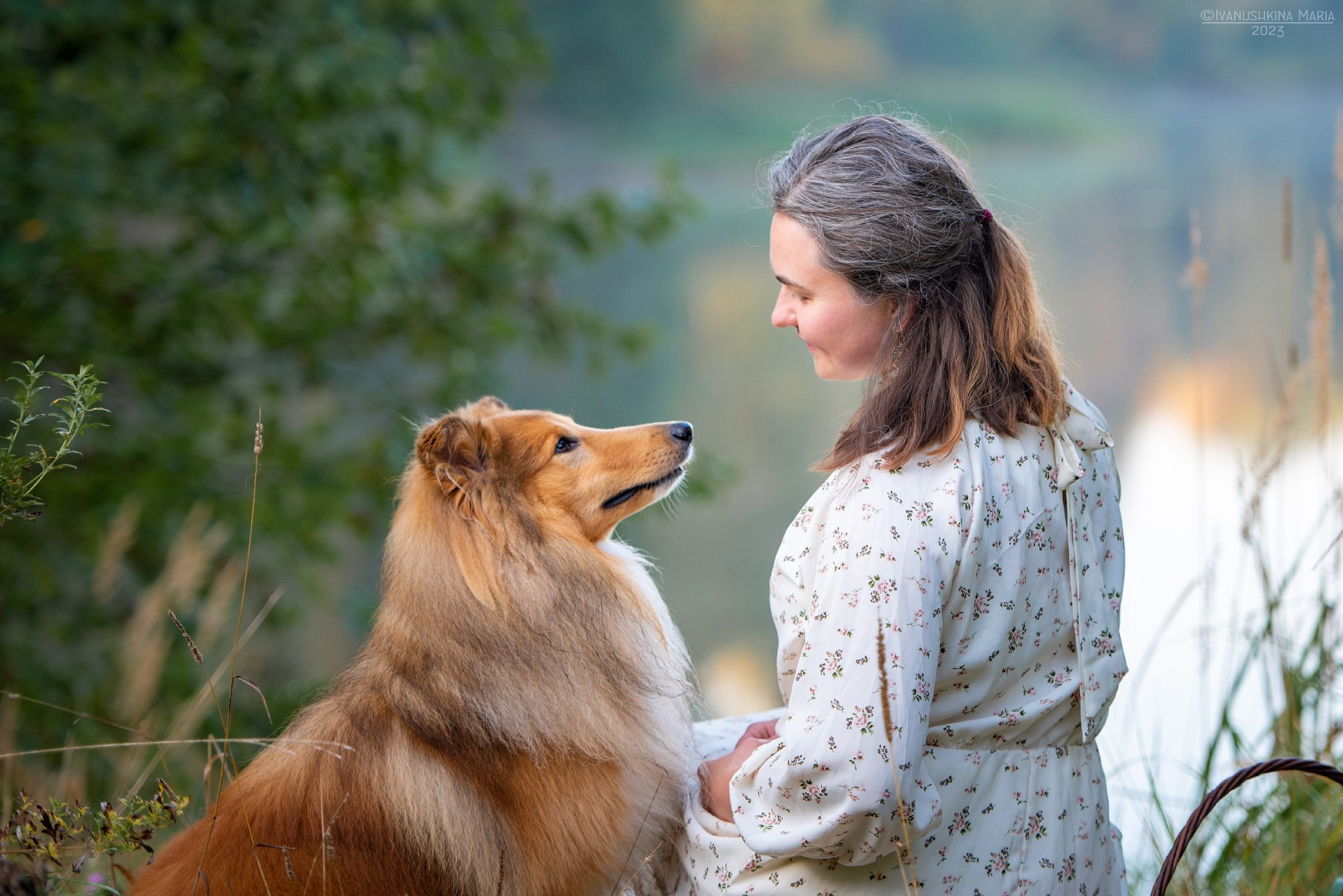 Фотосессия с собакой. Фотограф собак в Москве и Московской области Иванушкина Мария