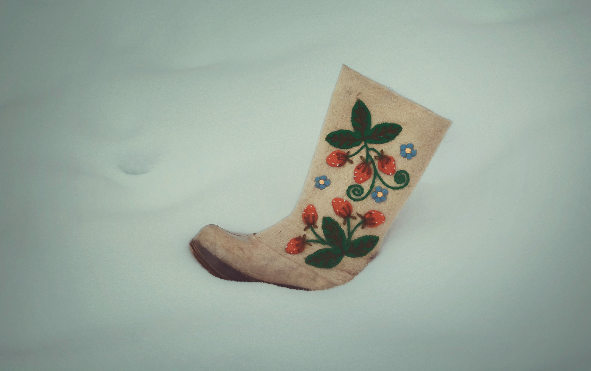 Золушка. Арт-фотограф в Москве, Лианесс