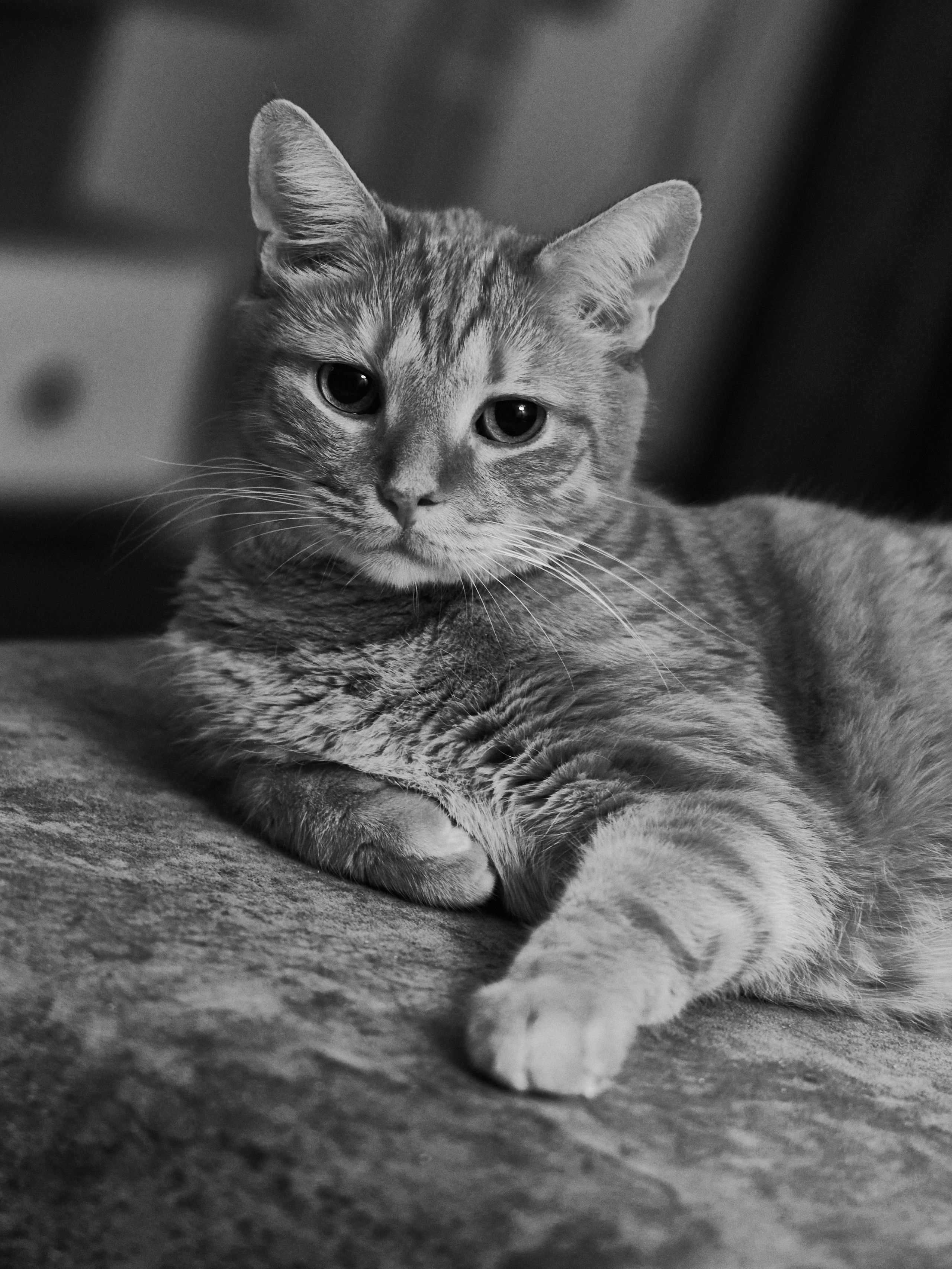 Другое 3. Jorgis — фотограф в Хургаде / обучение фотографии