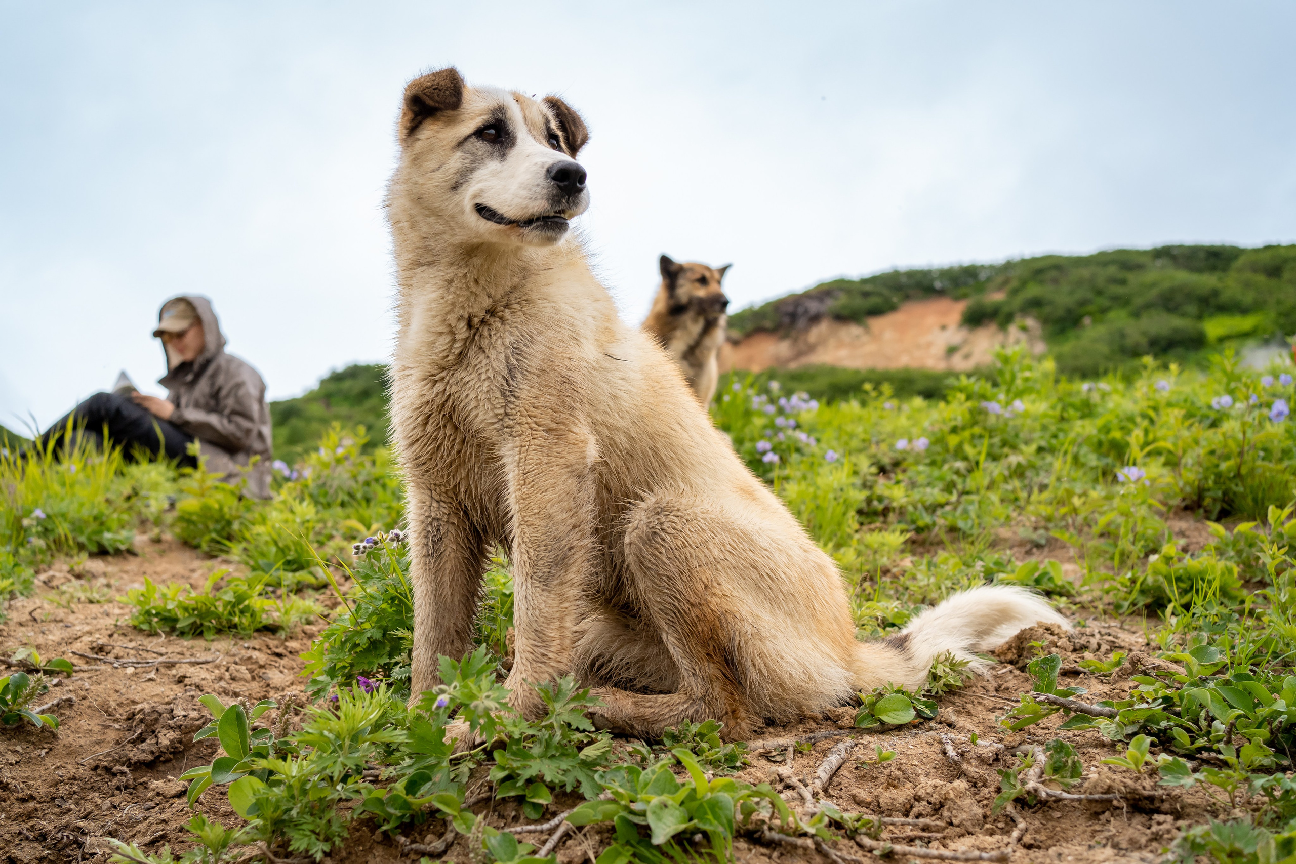 Камчатка. Семейный фотограф Варвара Сорока в городе Москве
