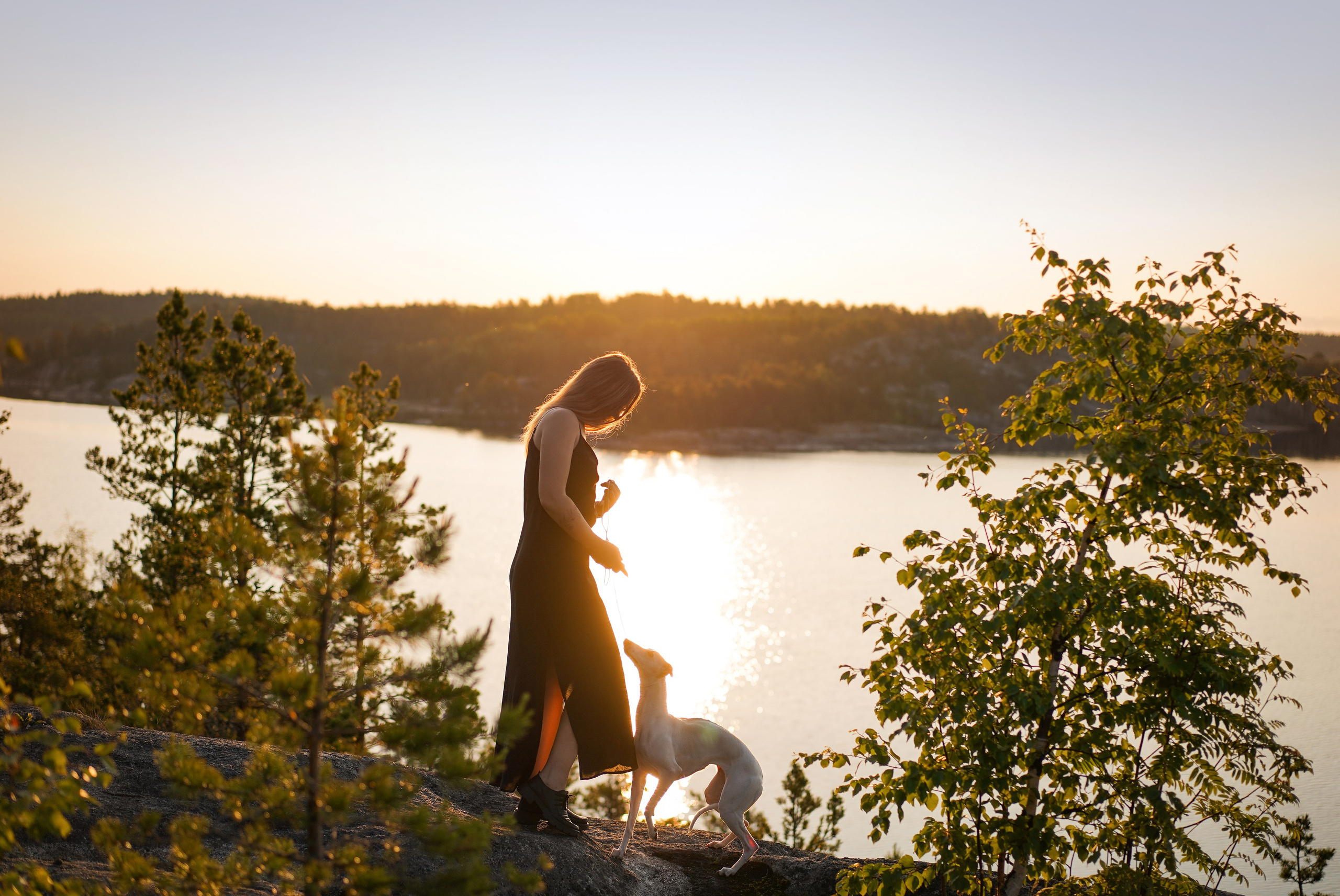 Даша Фифа Гага и Вениамина. Фотограф-анималист в Санкт-Петербурге Яна Мартынова
