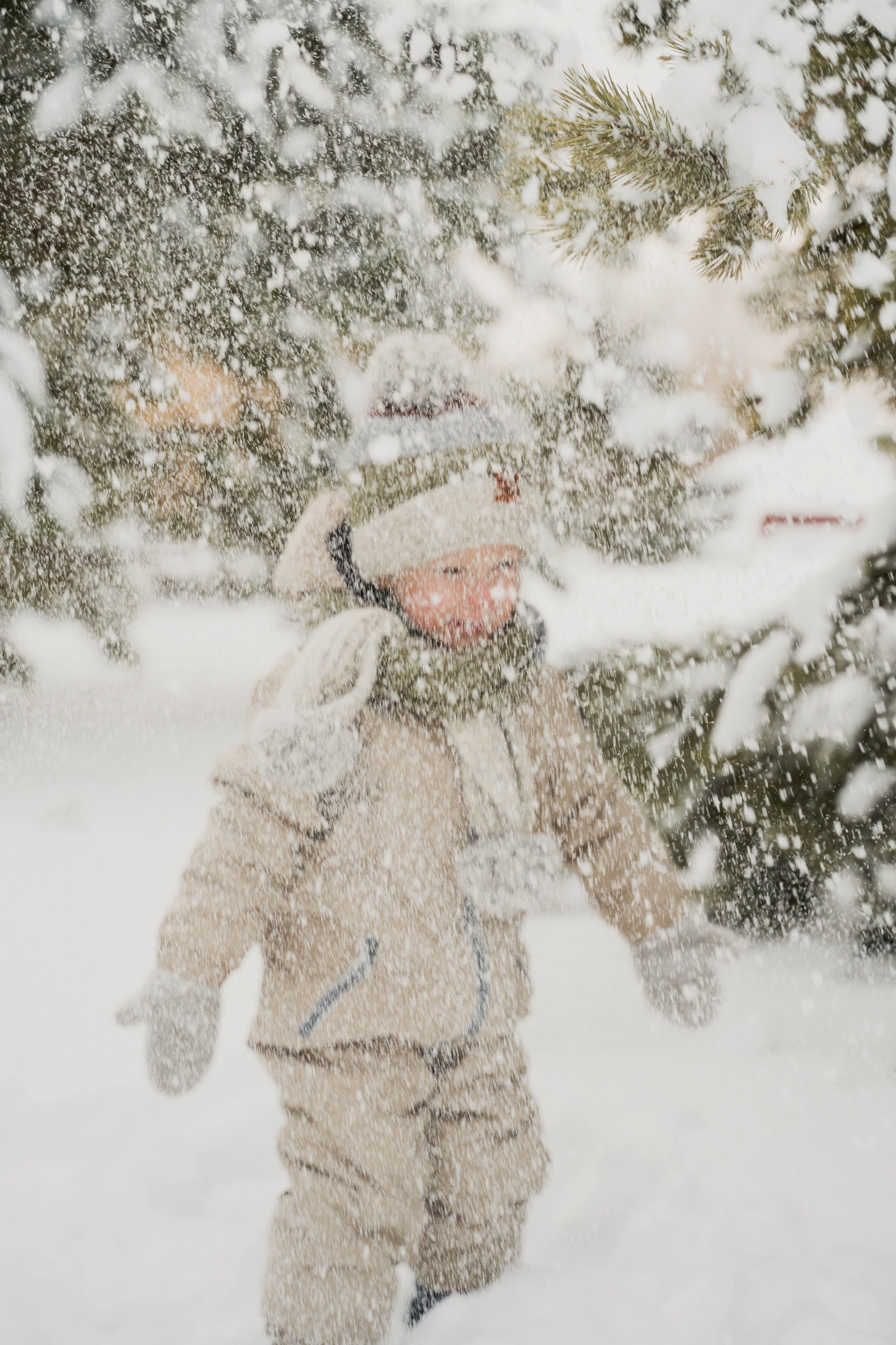 Зимняя прогулка. Главная